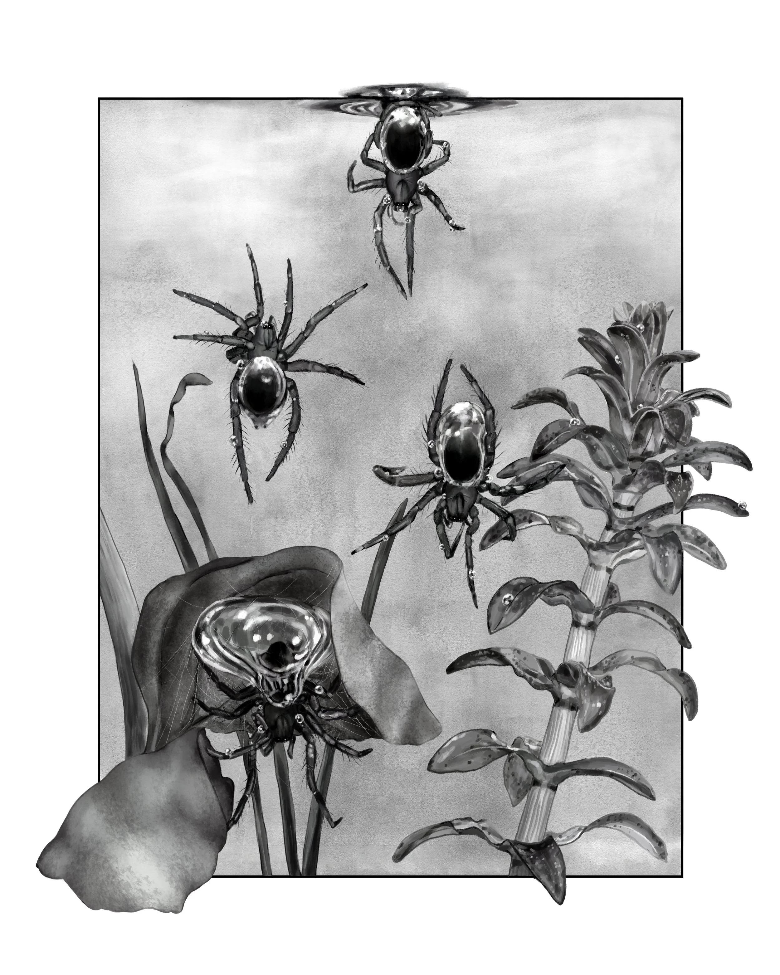 "Dance of the Diving Bell Spider" (Photoshop)