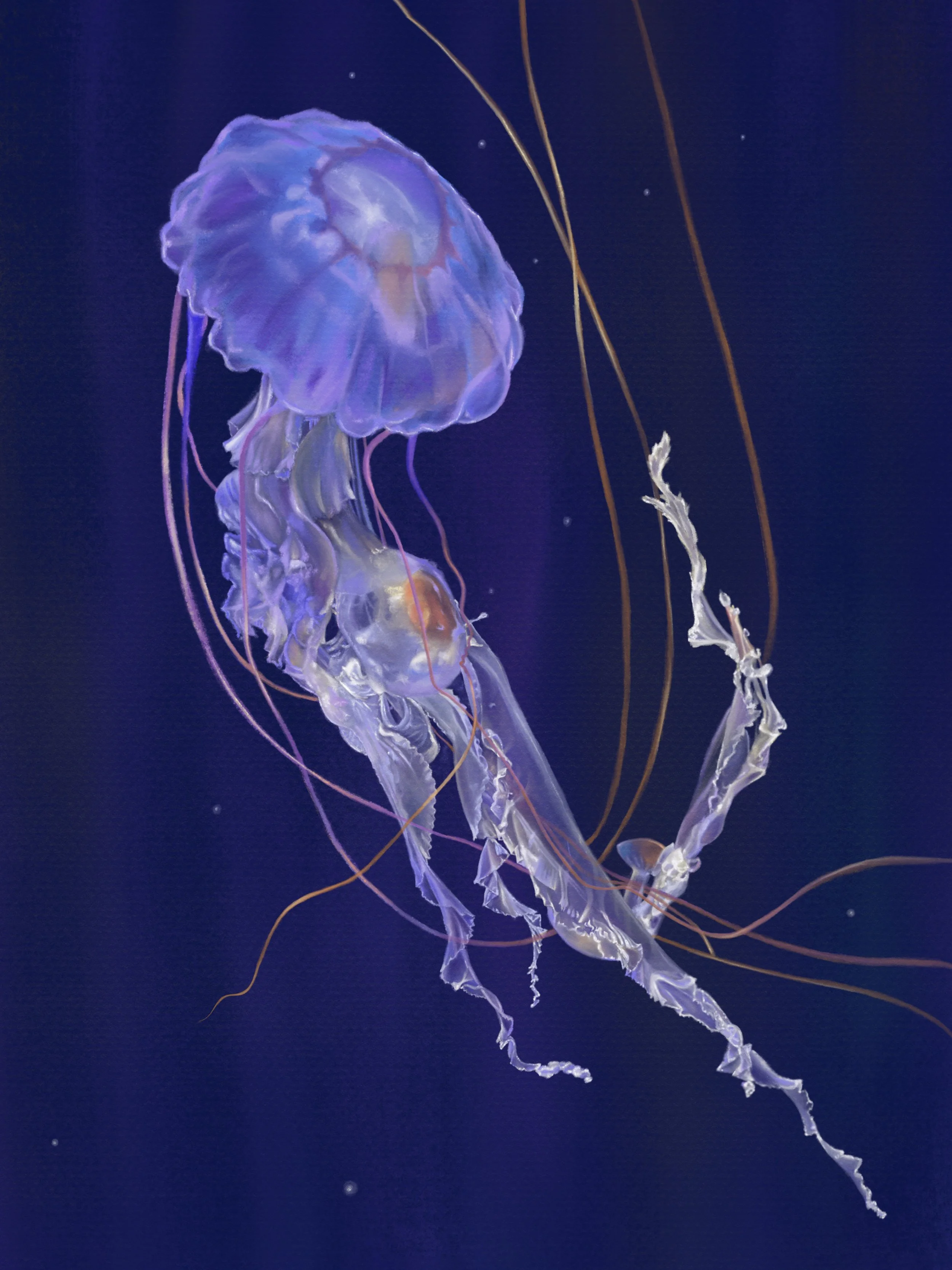 "Entangled" (Procreate)