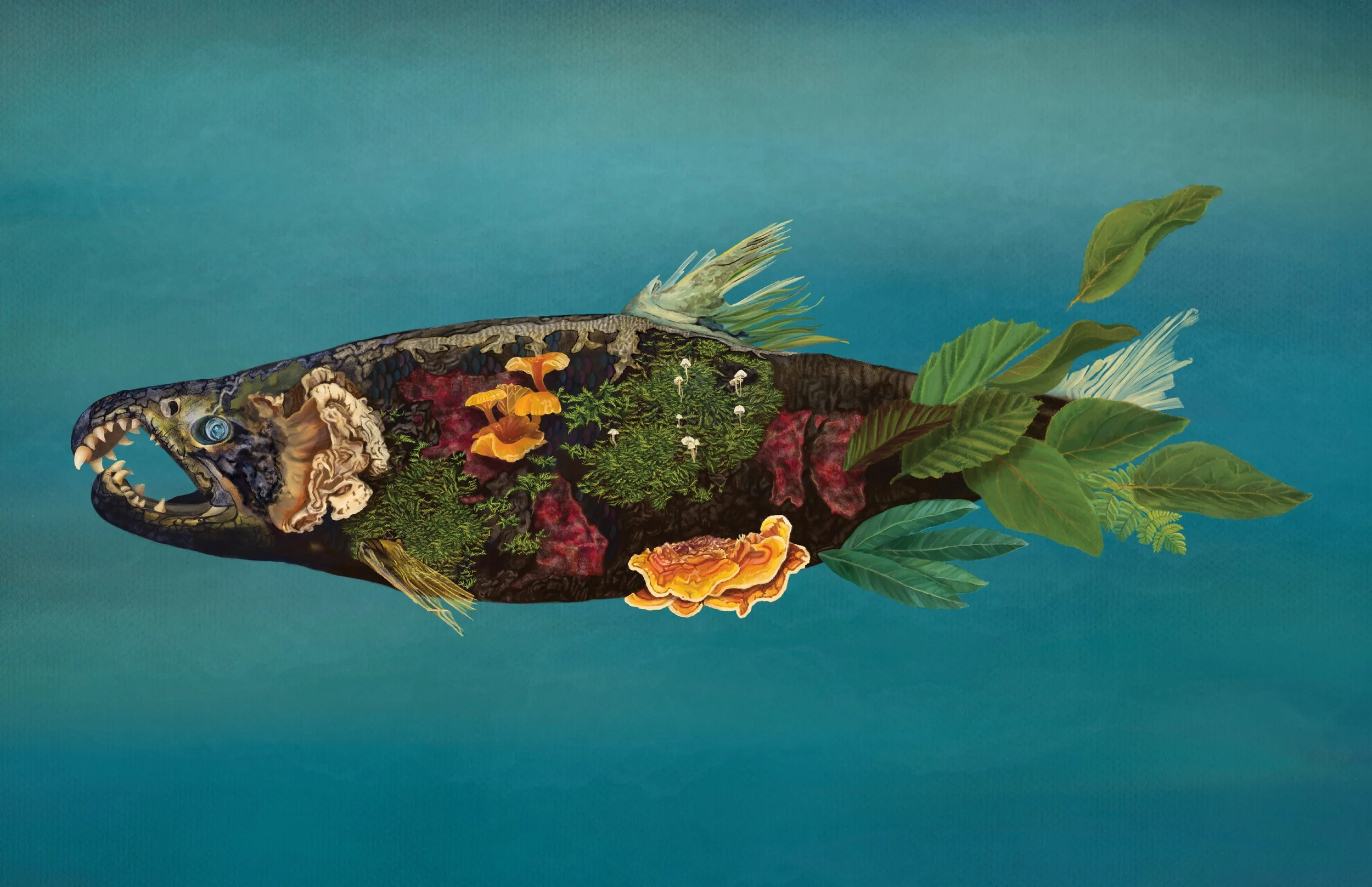 "An Ode to the Spawning Salmon" (Procreate)