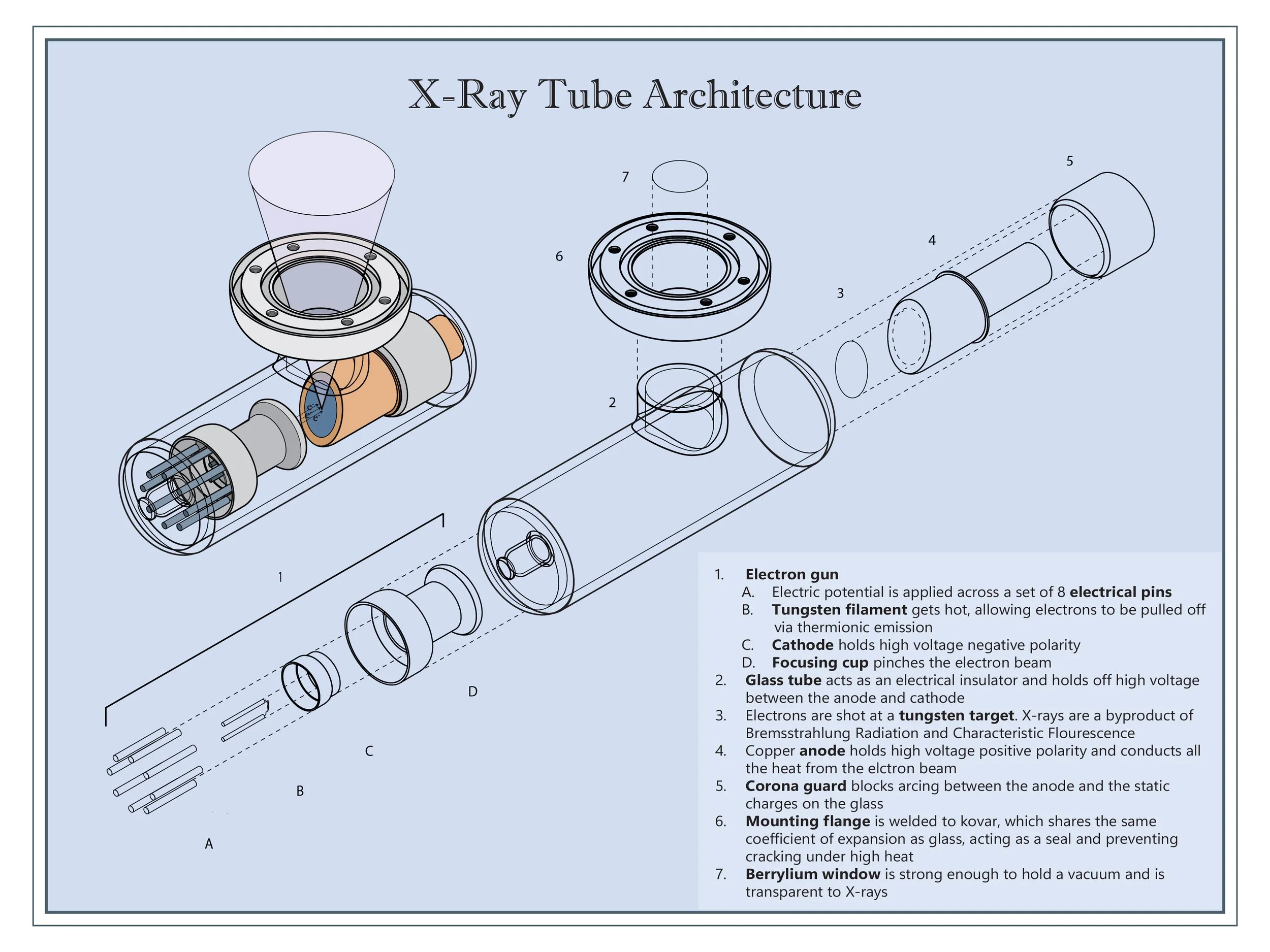 X-Ray Tube: Exploded View (Illustrator)