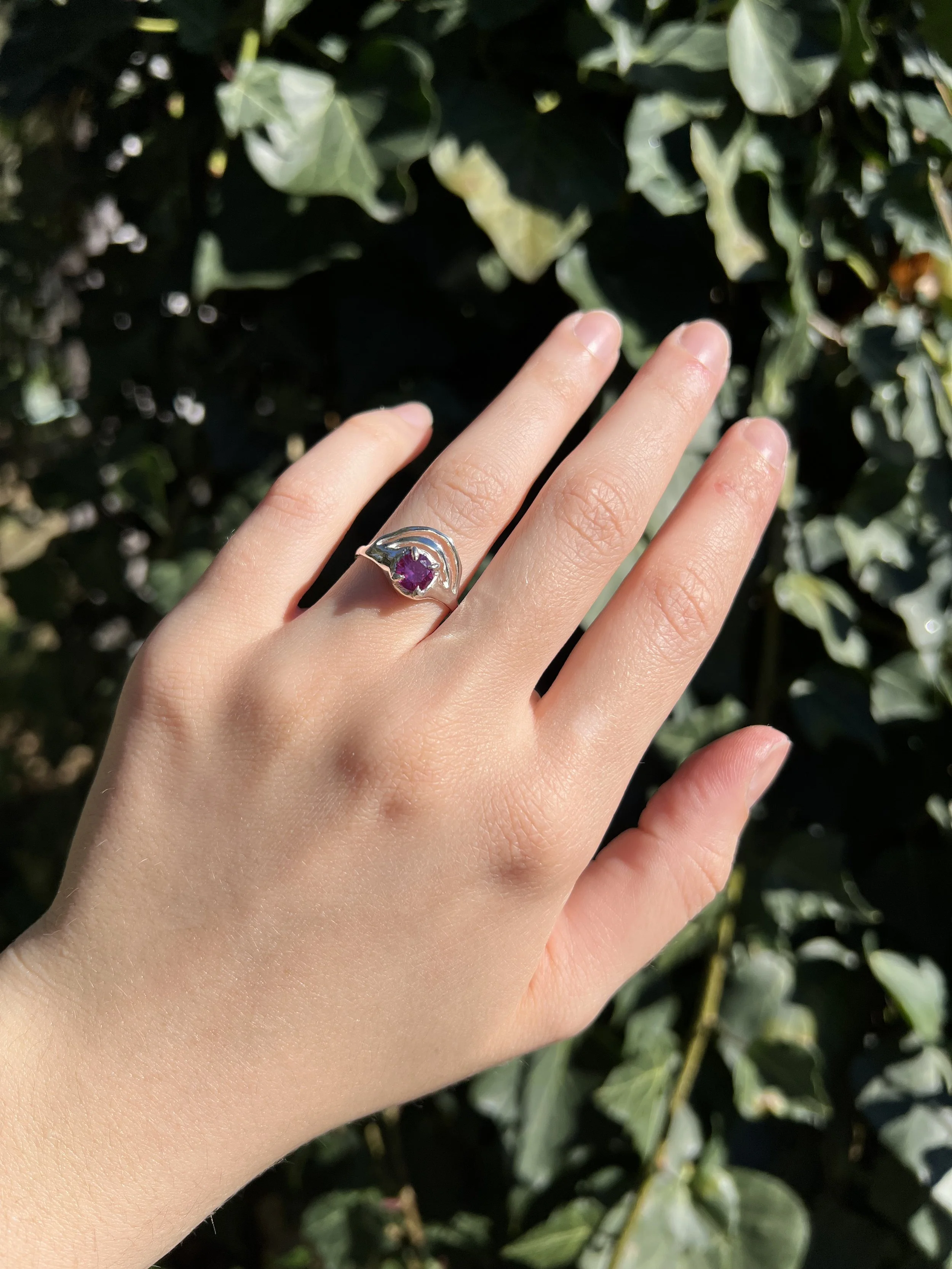 The Horizon Ring