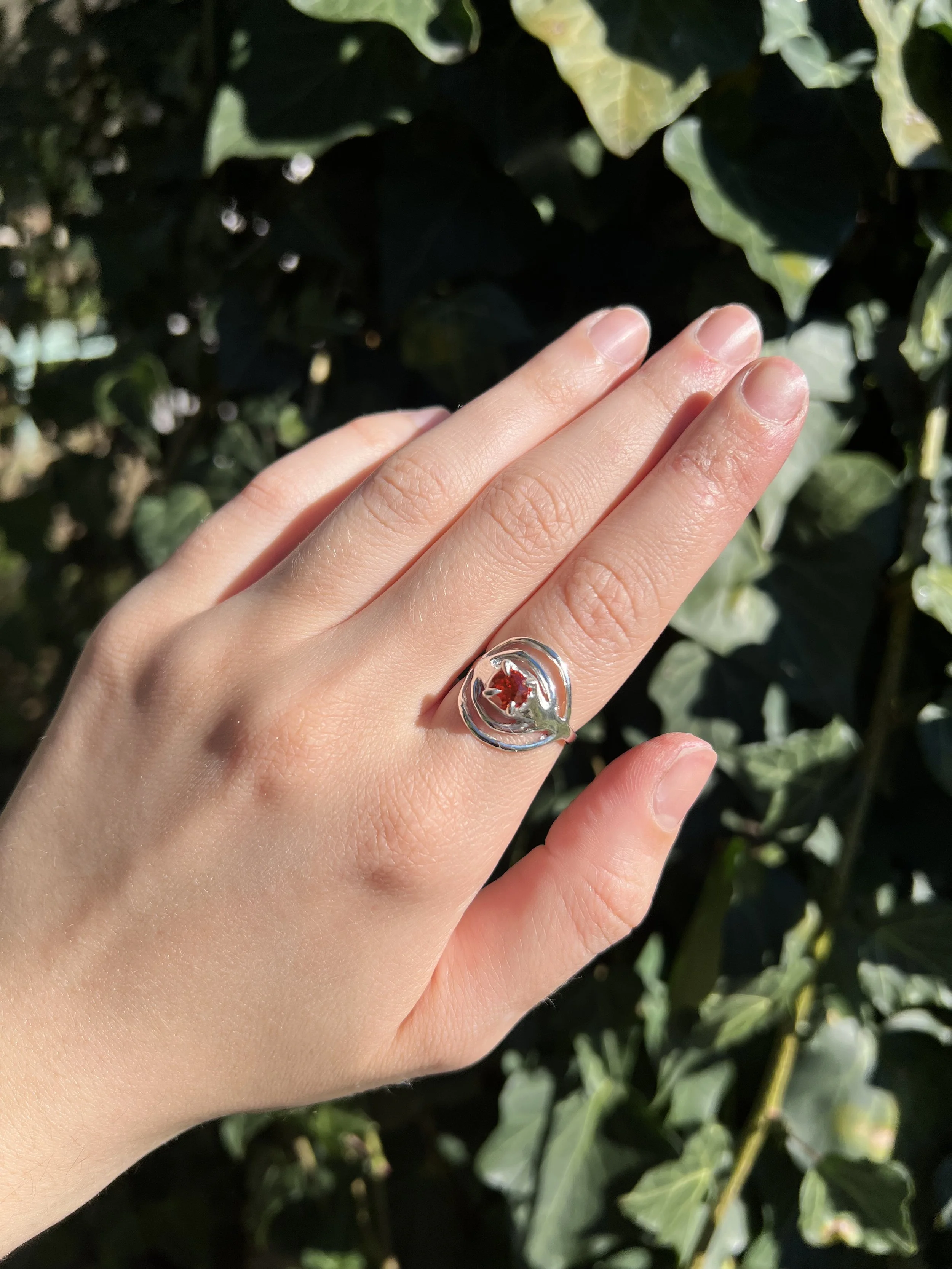 The Astraea Ring
