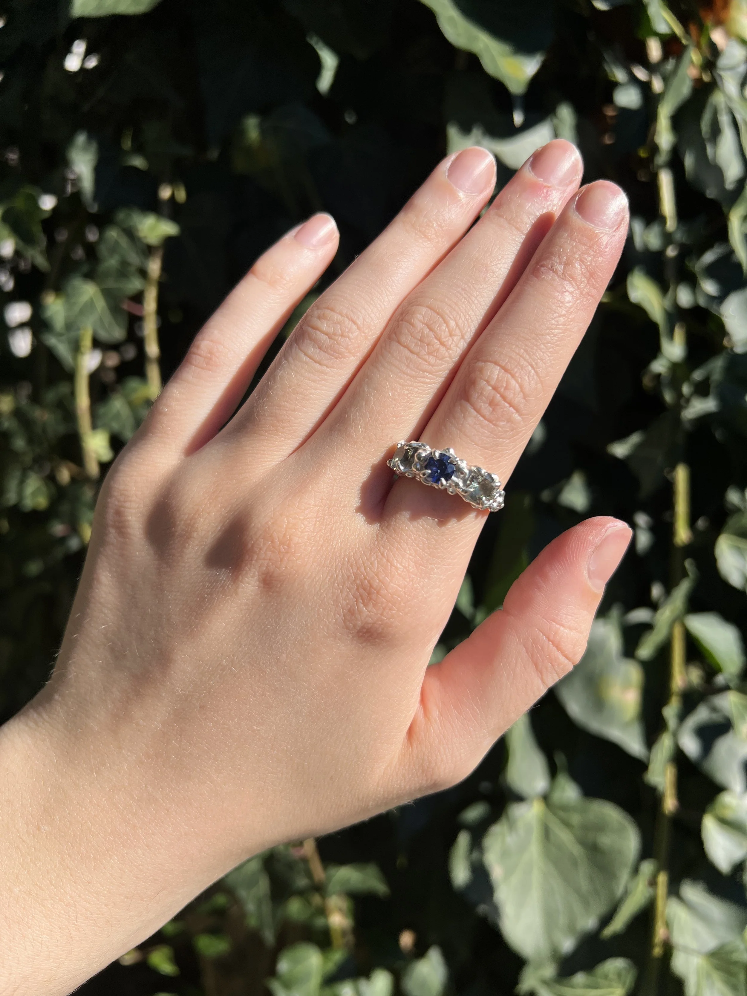 The Cerberus Ring