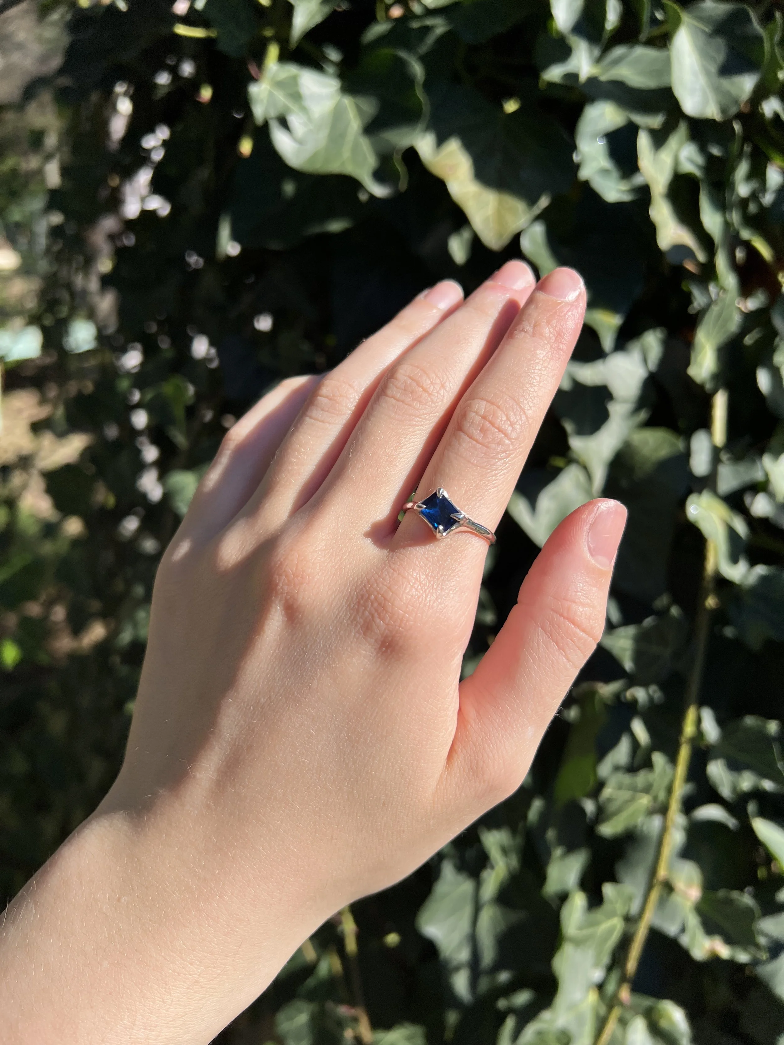 The Atlas Ring