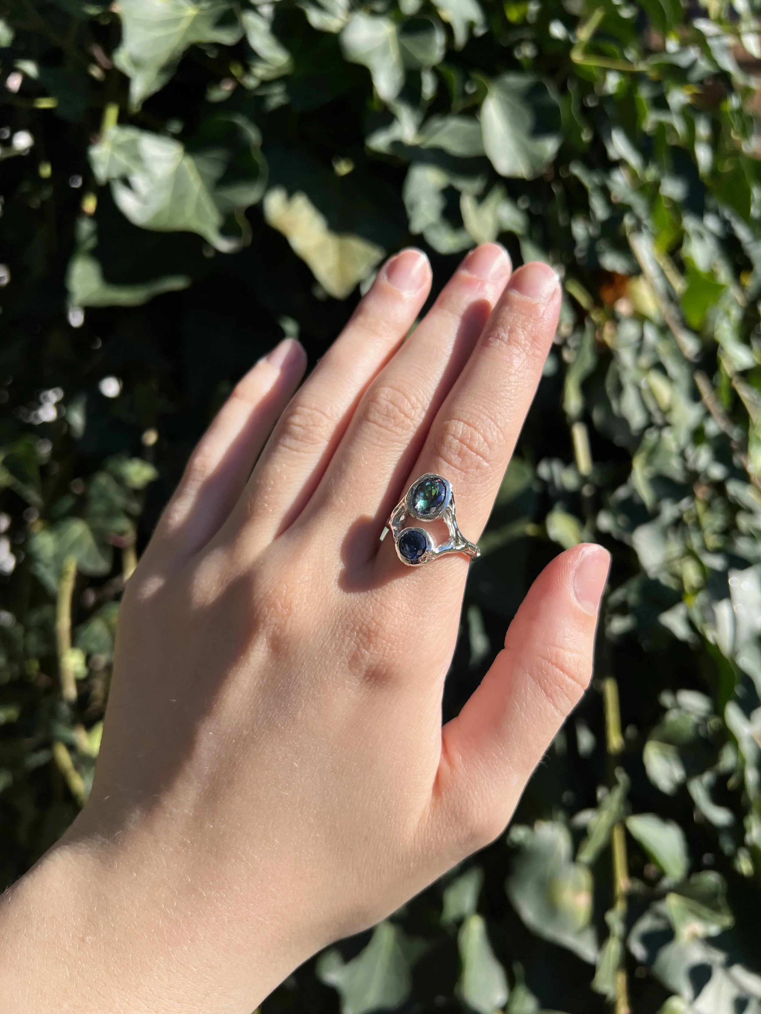 The Castor Ring