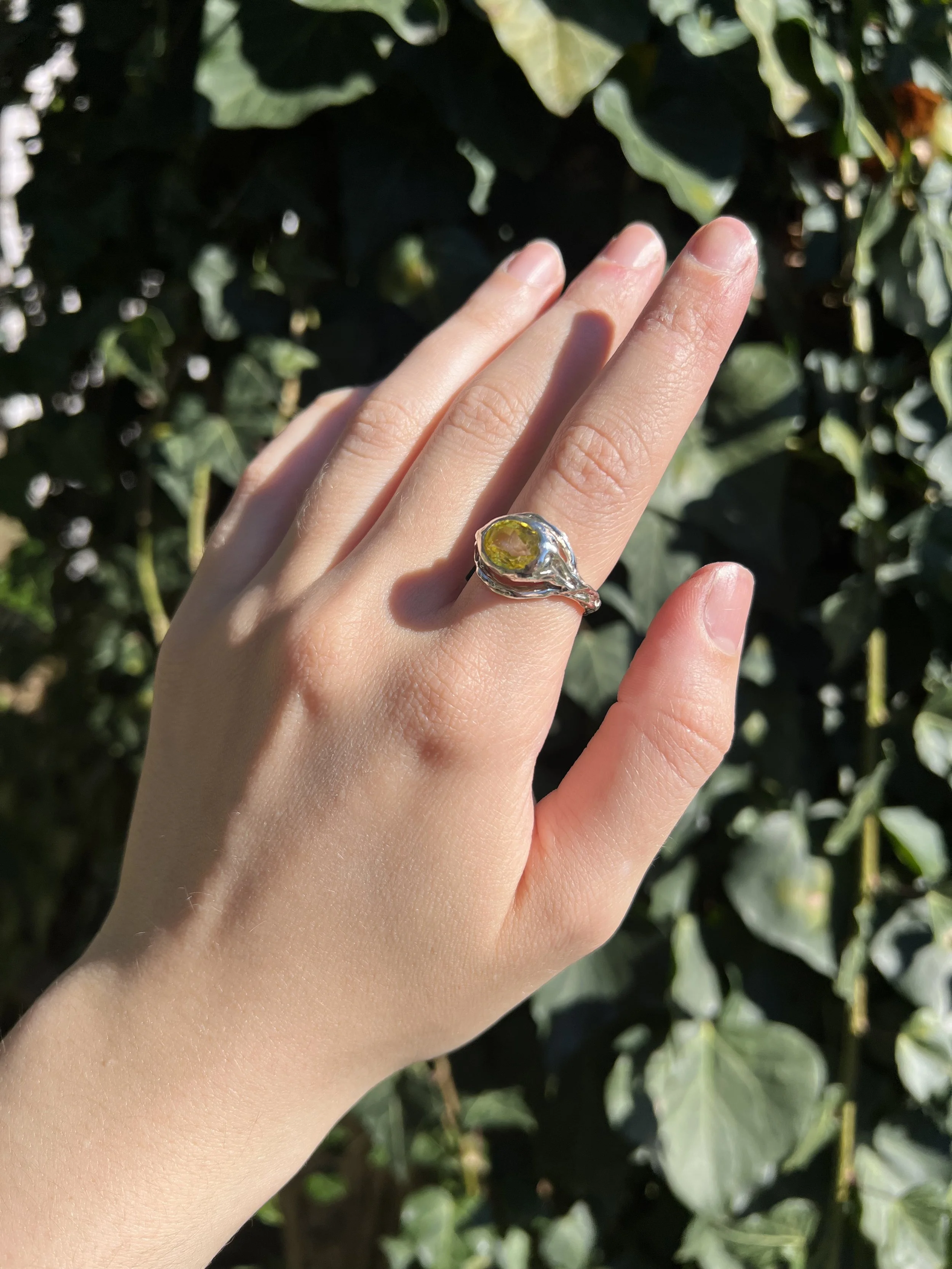 The Apollo Ring