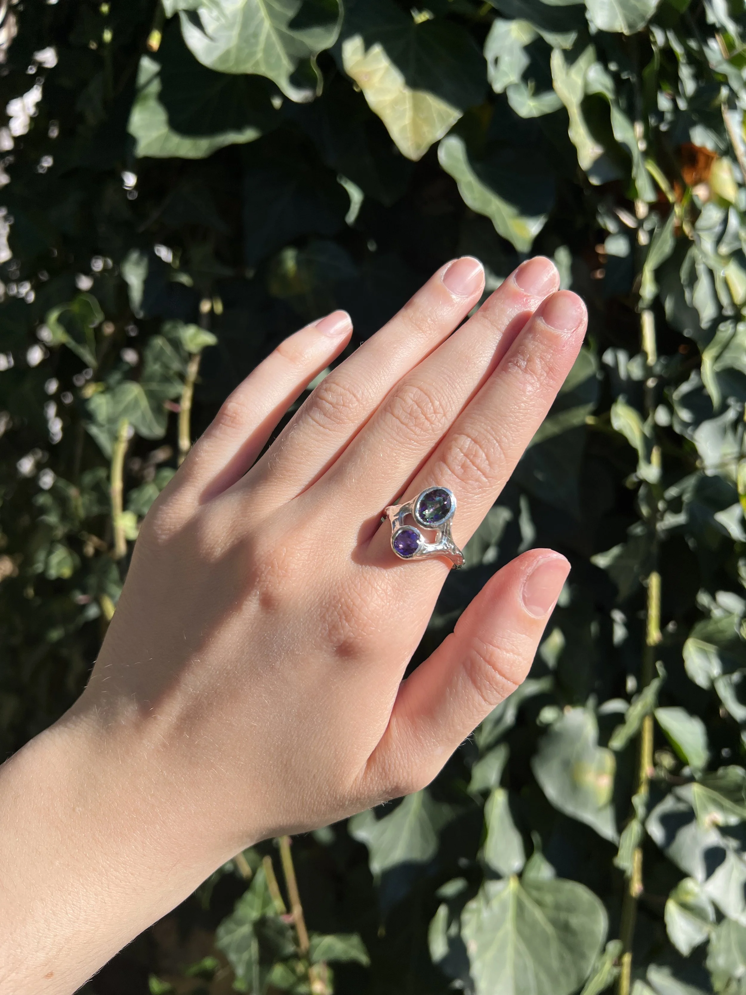 The Pollux Ring