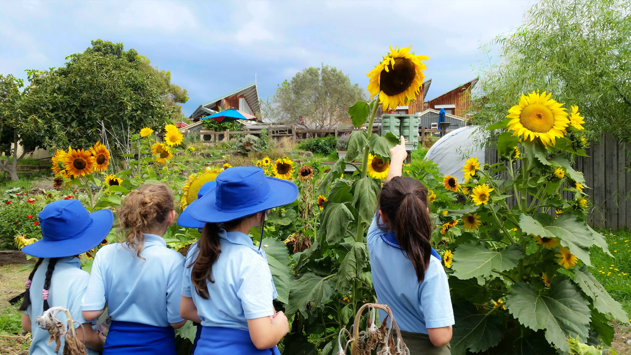 CERES School of Climate and Nature