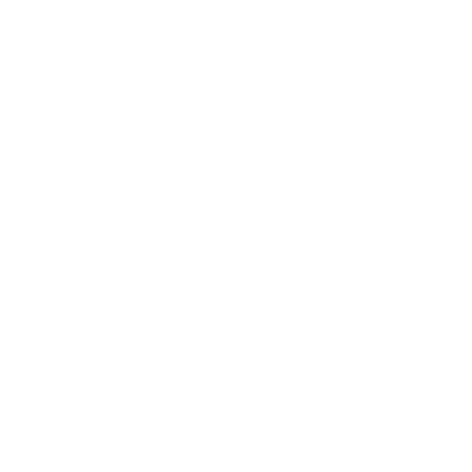 Icon of a document with a magnifying glass and check mark
