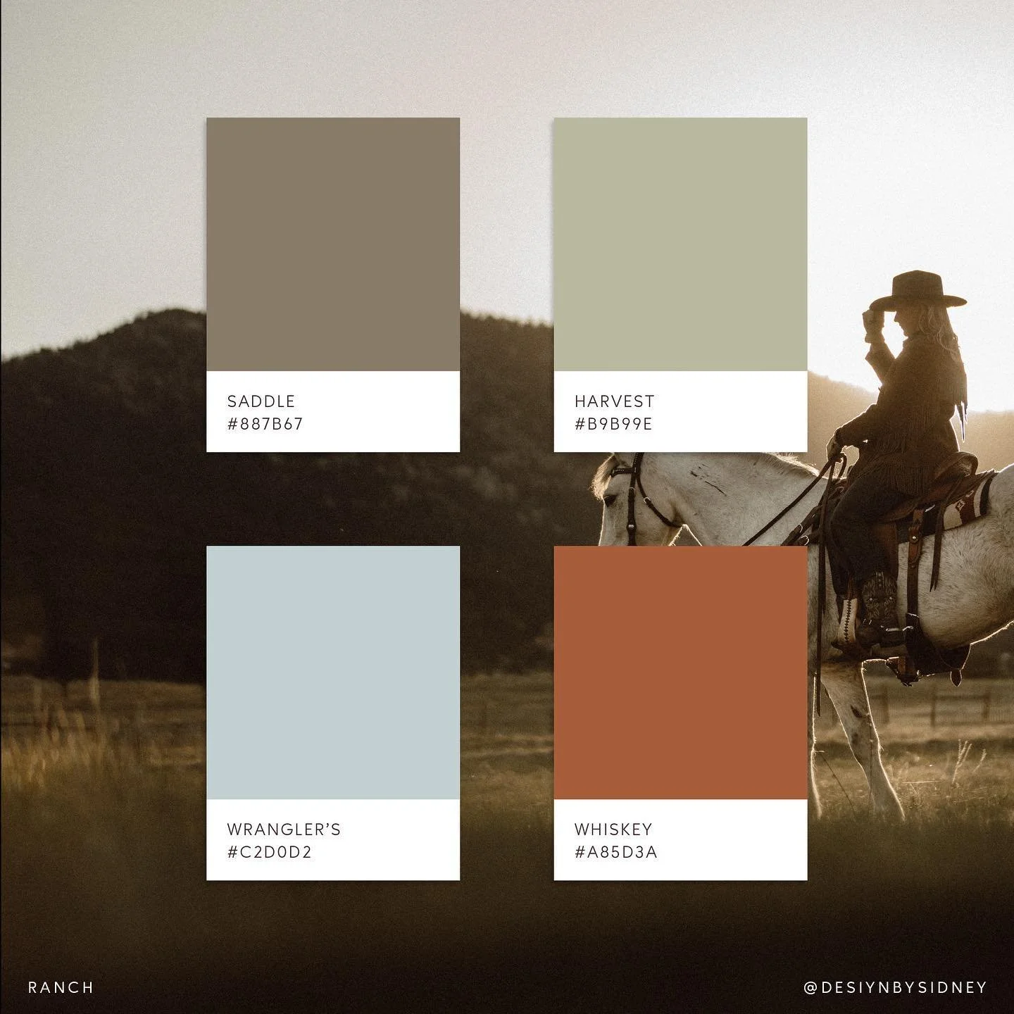 Cowgirl-inspired colour palettes for a bit of Monday fun. What&rsquo;s your fav! 🌵🤠👢🩷
 
 
#cowgirlaesthetic #colourpalette #branddesigner