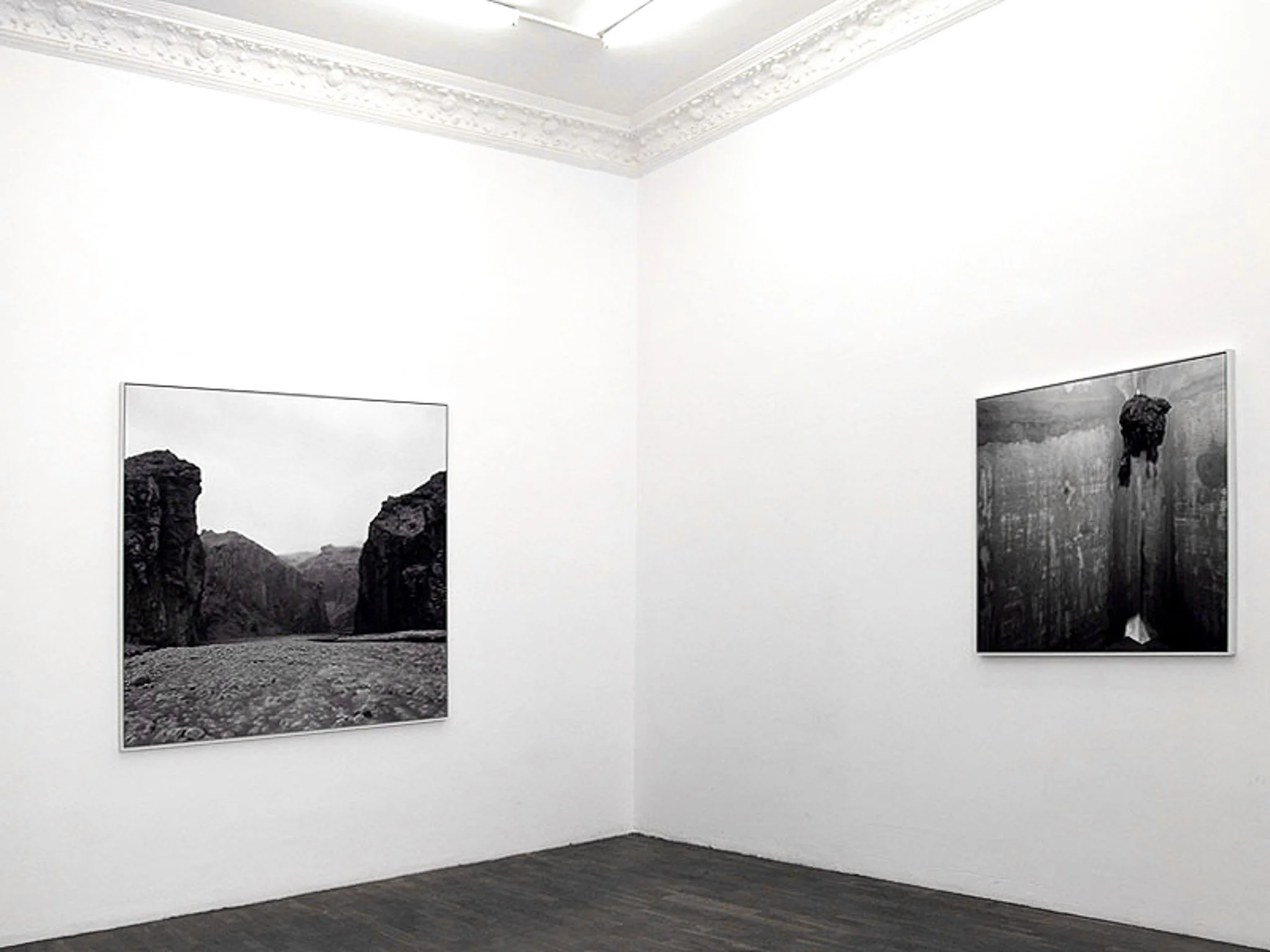 FvR_install_new_works2011_01_800.jpg
