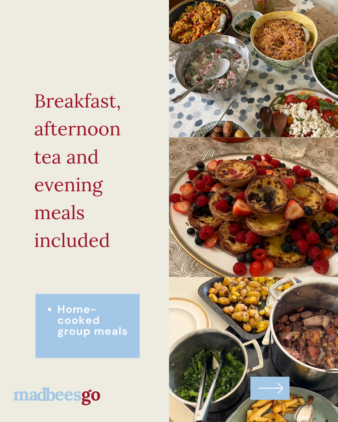 madbees go Cots Web Pages.png