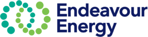 Endeavour Energy authorised ASP
