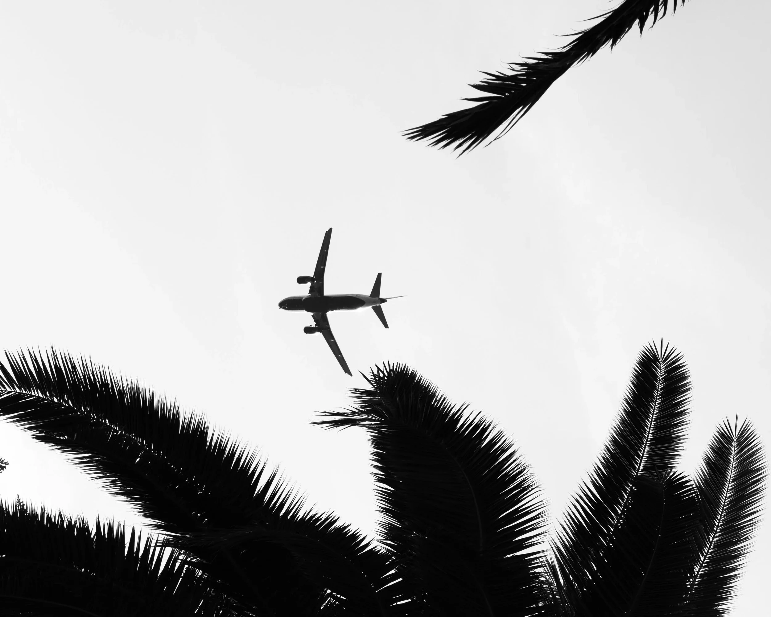 A7R03807.jpg