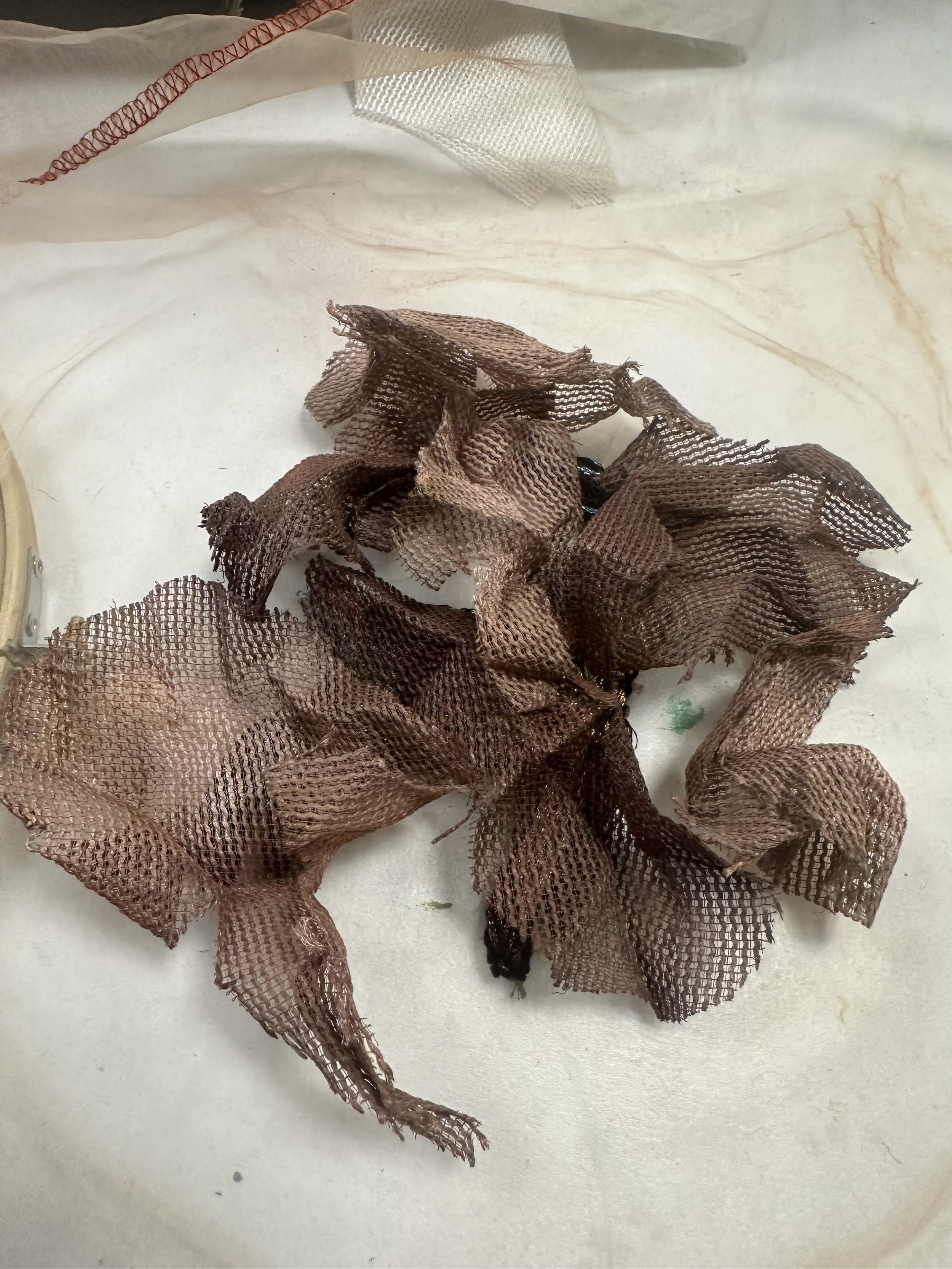 Une image de la maison flottante.