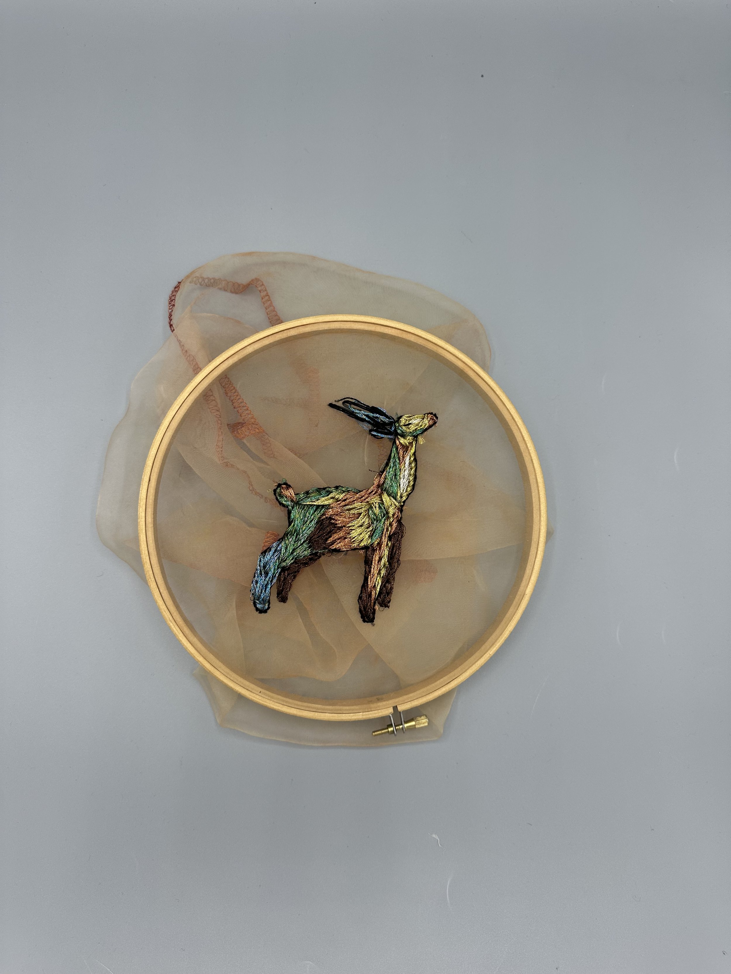 Une image de la maison flottante.