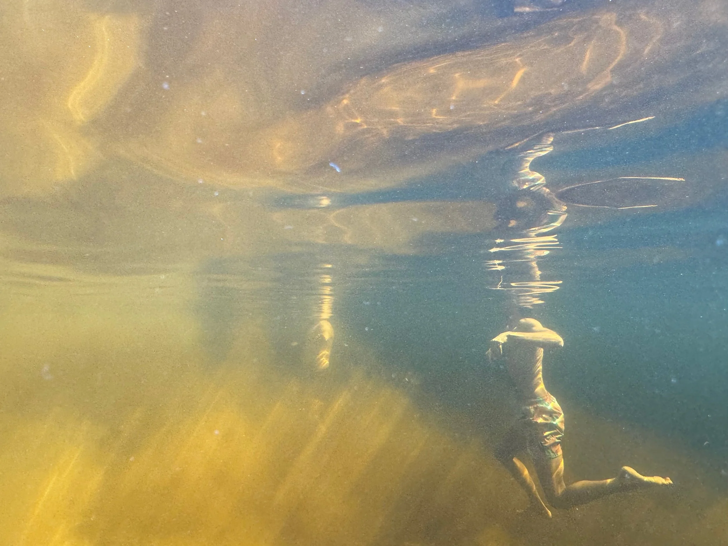 Gewässerübung im DRSA Silber Kurs – gezieltes Training für Outdoor Trainer:innen, Tourguides und Rettungsschwimmer:innen zur sicheren Rettung in natürlichen Gewässern.