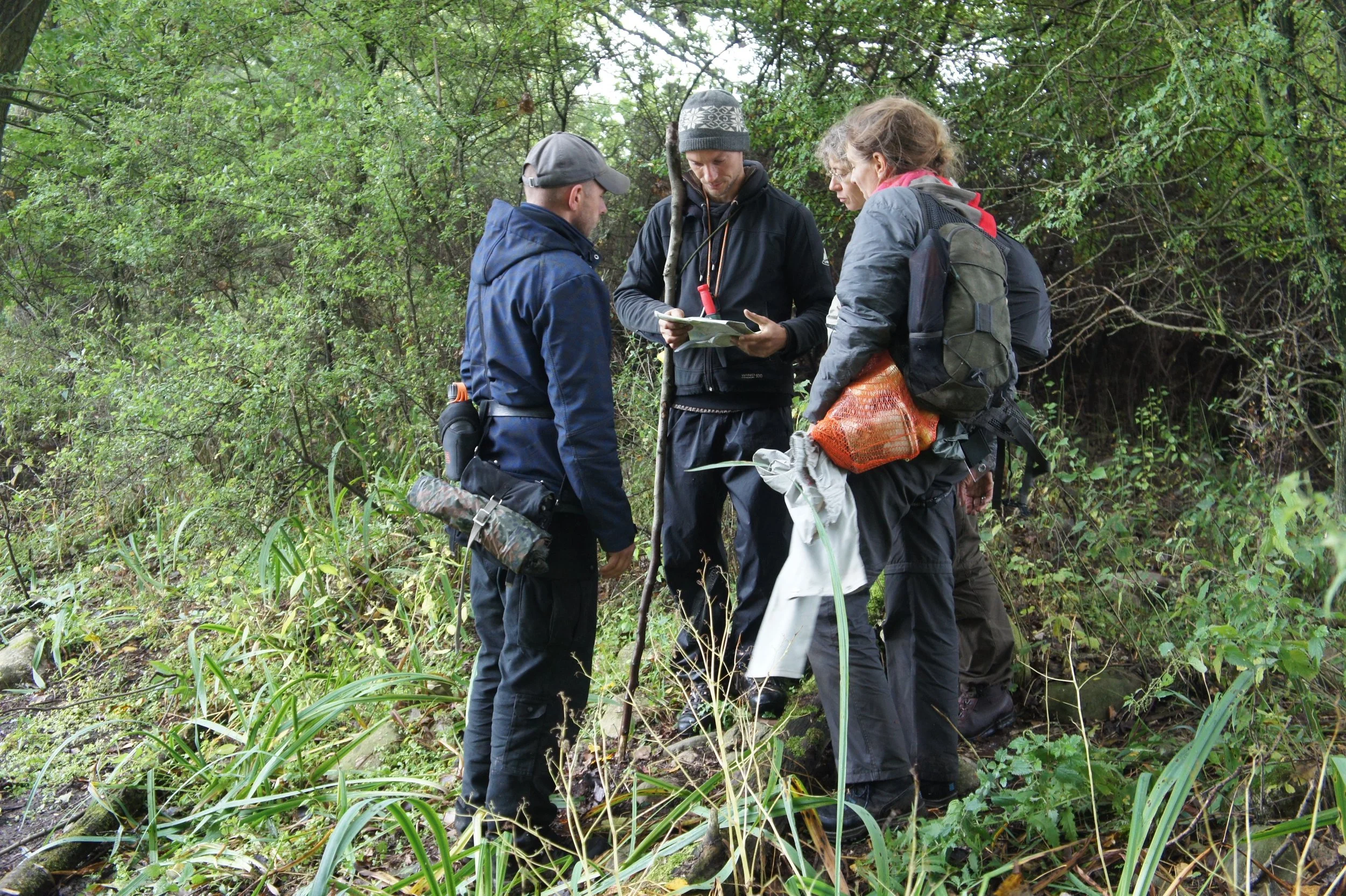 Vier Personen in der Natur, die auf einem Waldpfad stehen und sich Notizen machen, bei einer Outdoor Tour.