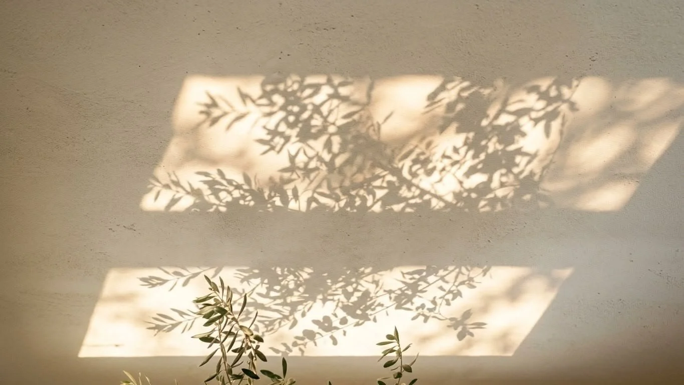Light &amp; Cover