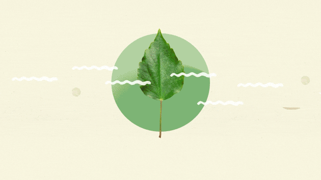 da8e8f2e-26c4-477f-9d31-0c033b7b0559_rw_1200.gif