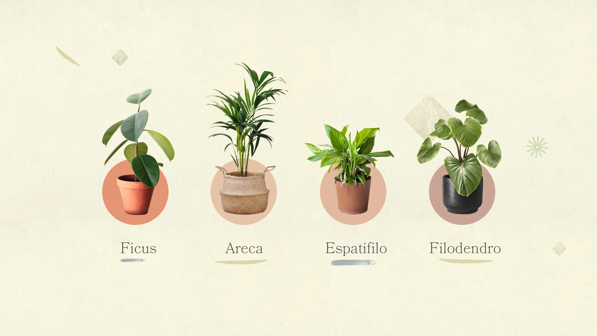 SB_EP_02_NATURALEZA-8-min.jpg