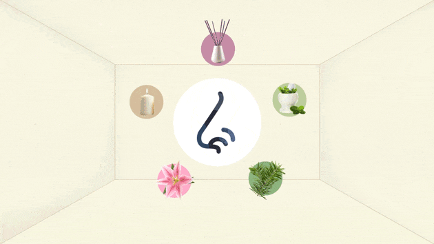 t3.gif