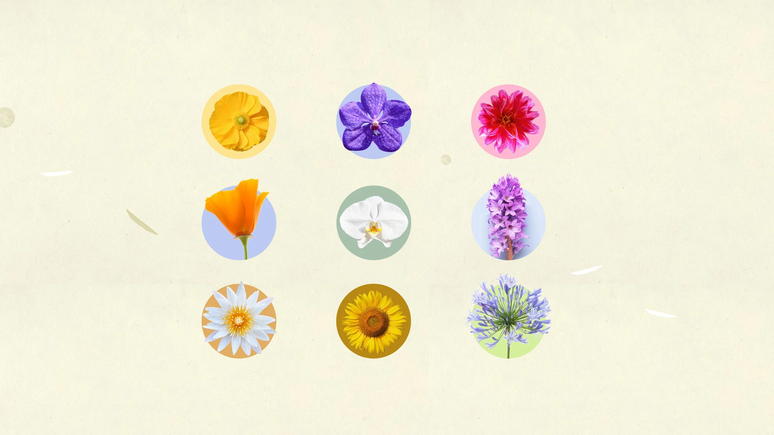 SB_EP_02_NATURALEZA-6-min.jpg