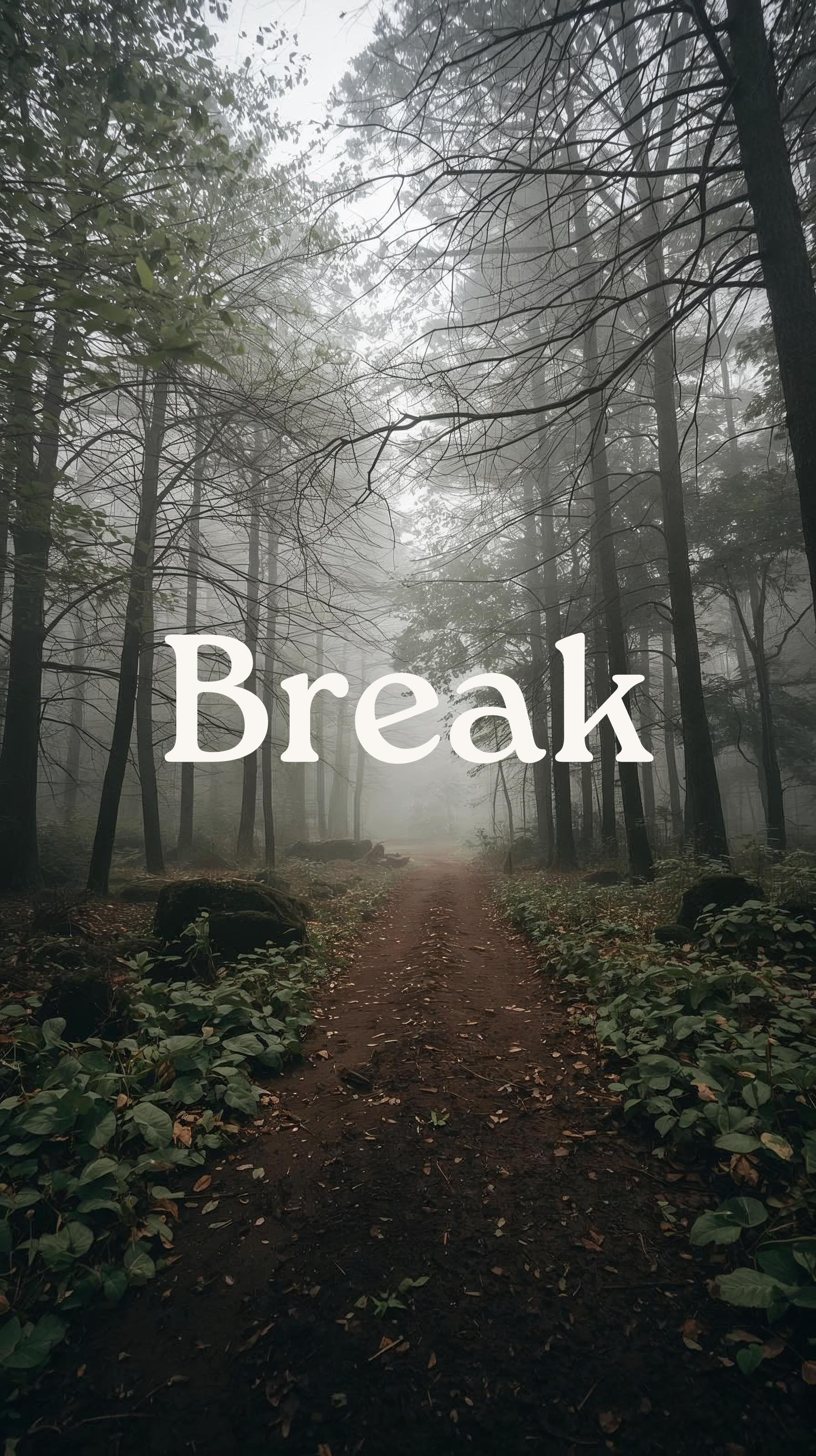 [BREAK] Leaving the City Behind - break free from autopilot. Our goal: Drop the noise, release what isn’t yours, create space.