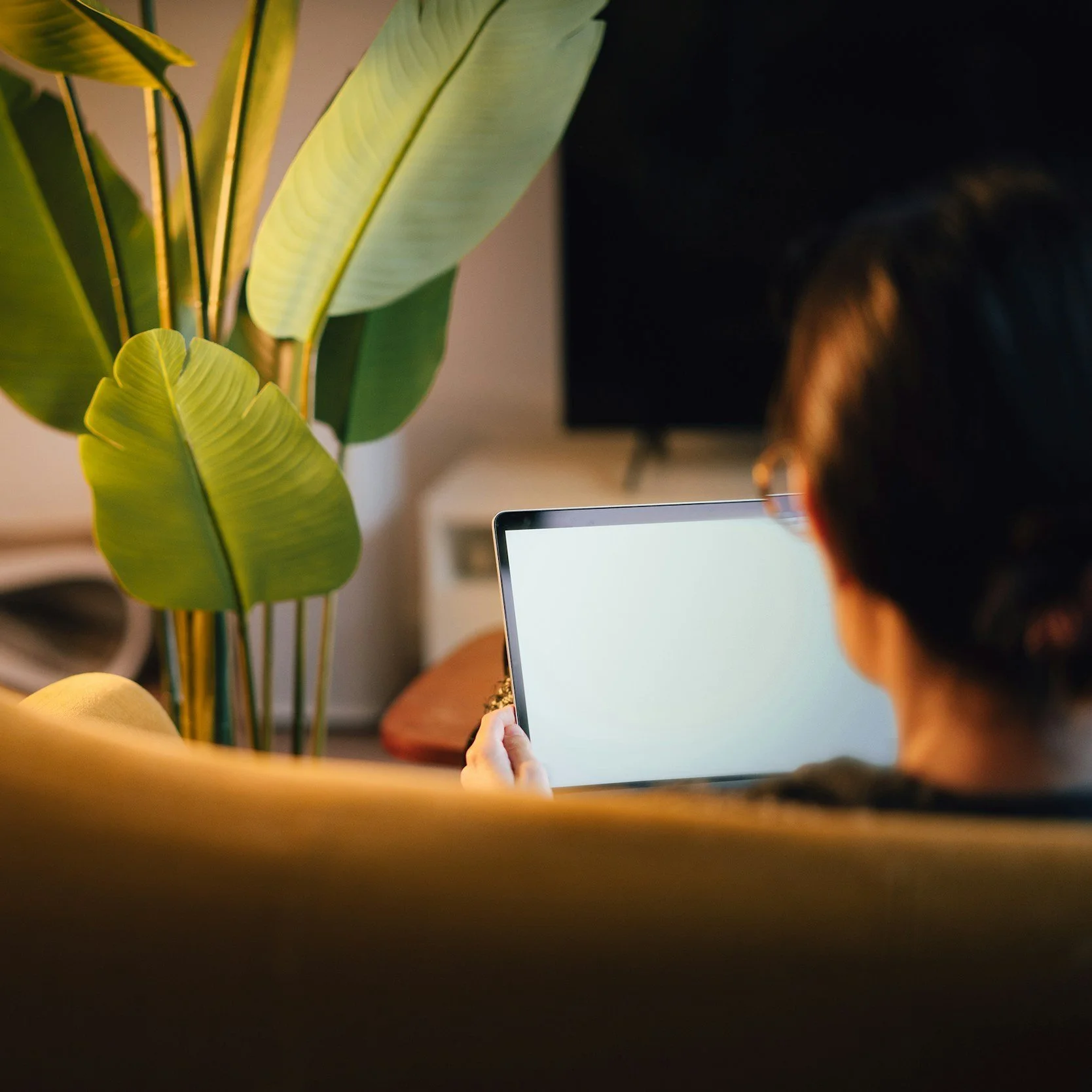 Person sitting on a couch, holding a tablet with a blank white screen, near a large green plant and a television in the background.