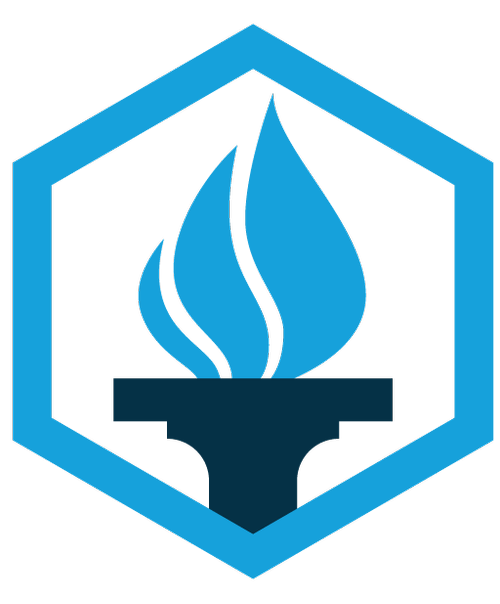 Immigration Project icon