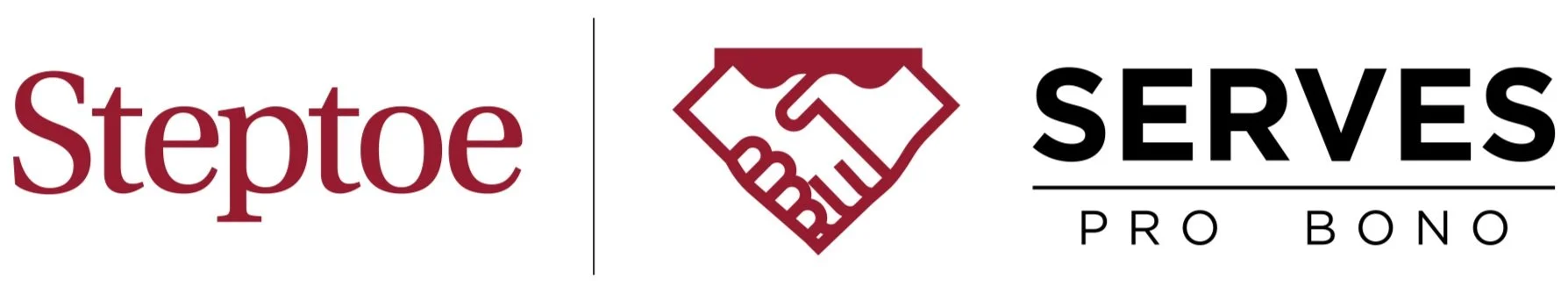 Steptoe Foundation.jpg