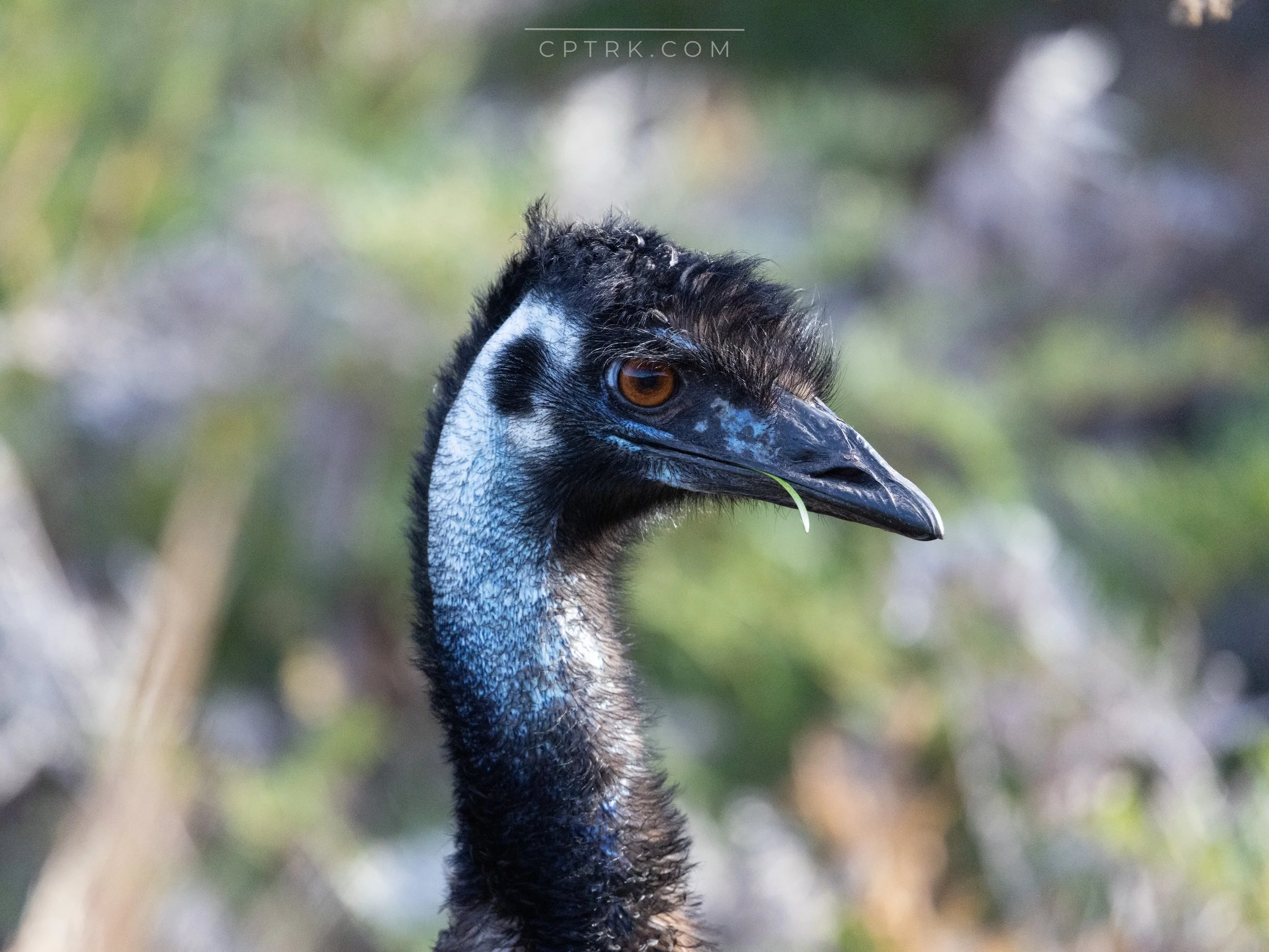 0Y4A0059_Watermarked.jpg