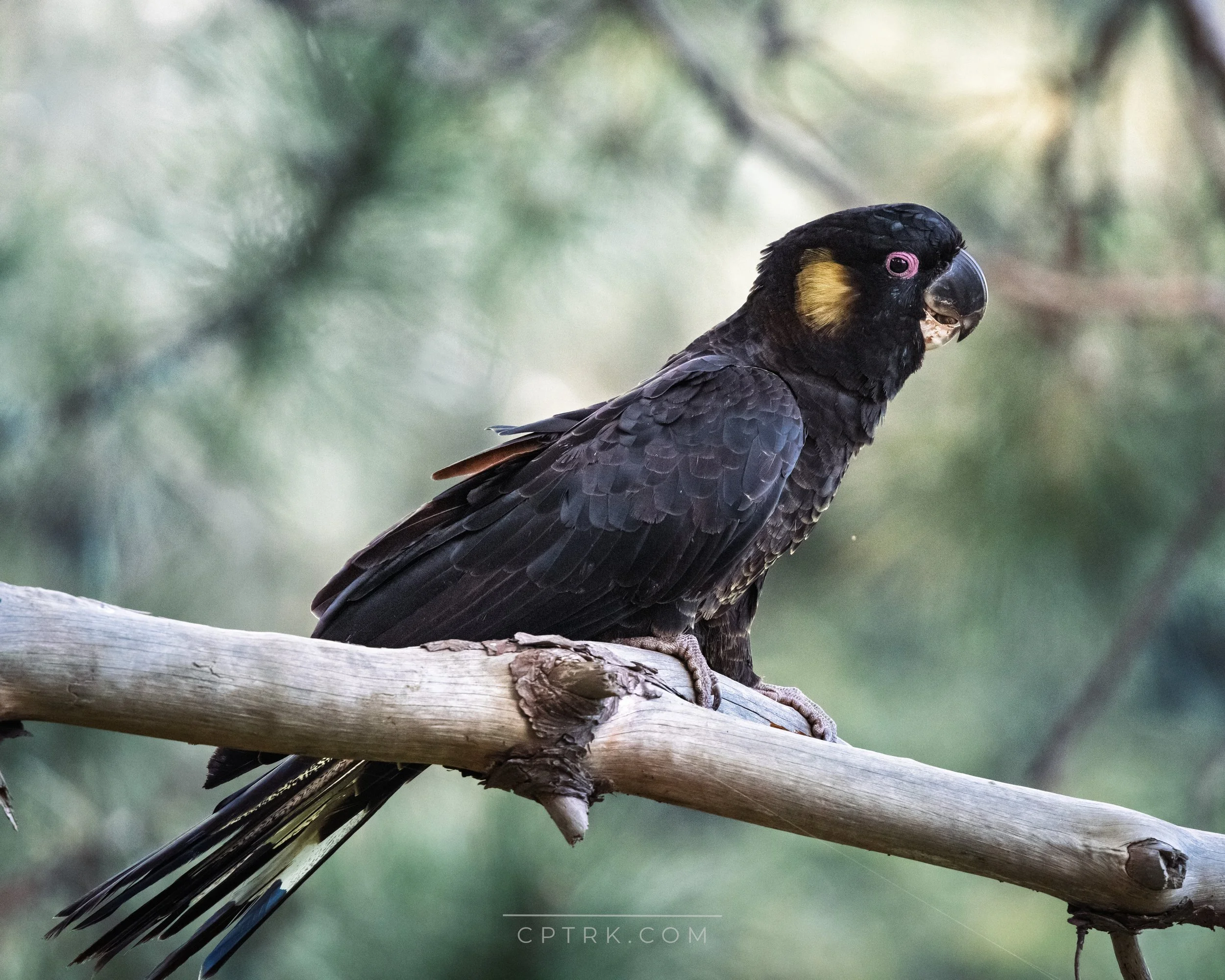 5C1Z3145_20250417_Watermarked.jpg