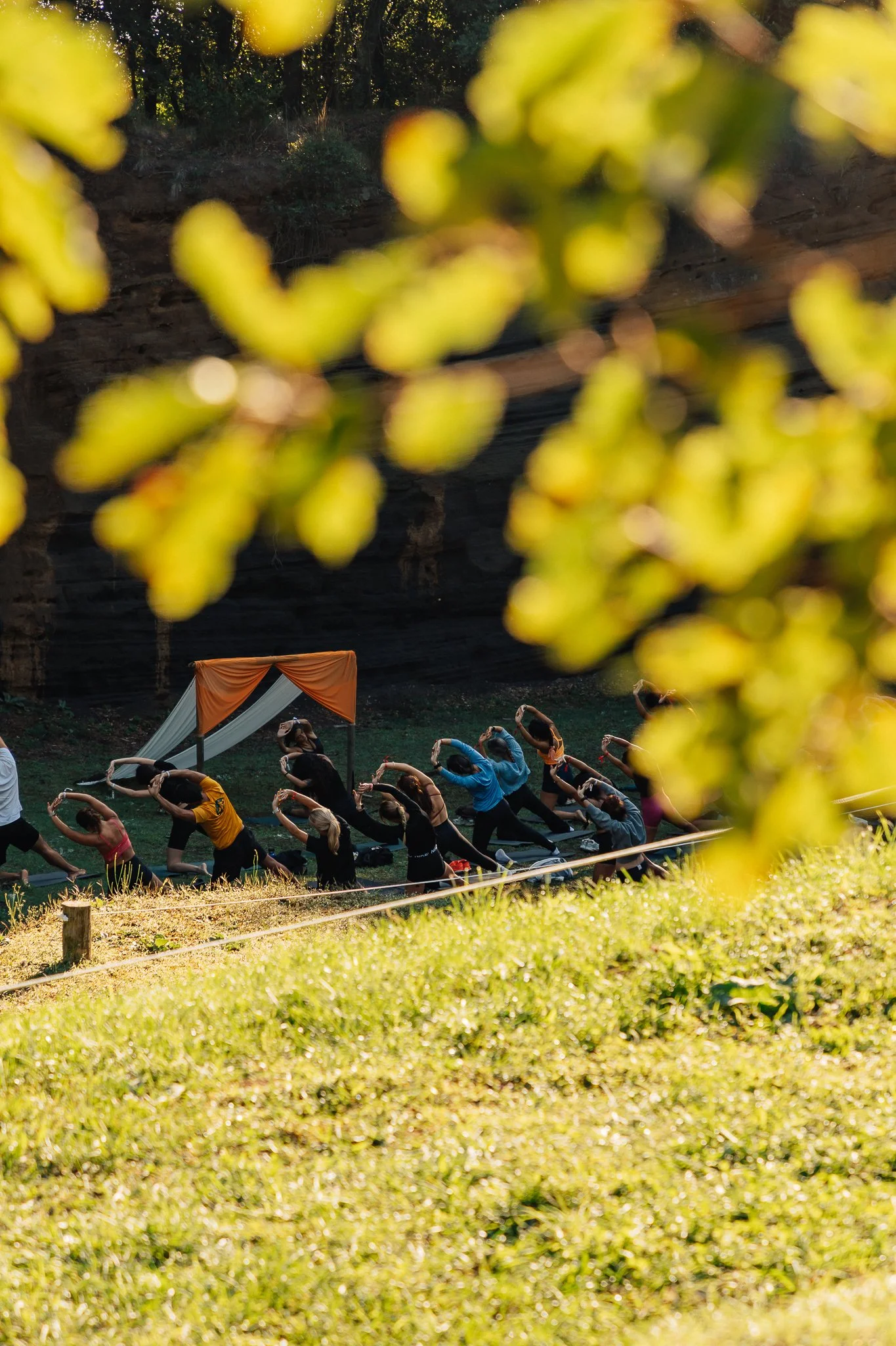 Person practicing yoga outdoors, doing a downward-facing pose on grass.