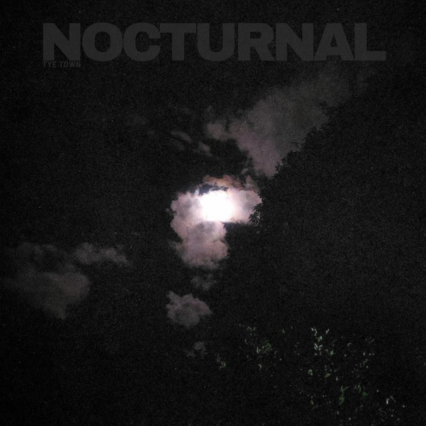 Night sky with bright moon partially covered by clouds and silhouetted trees.