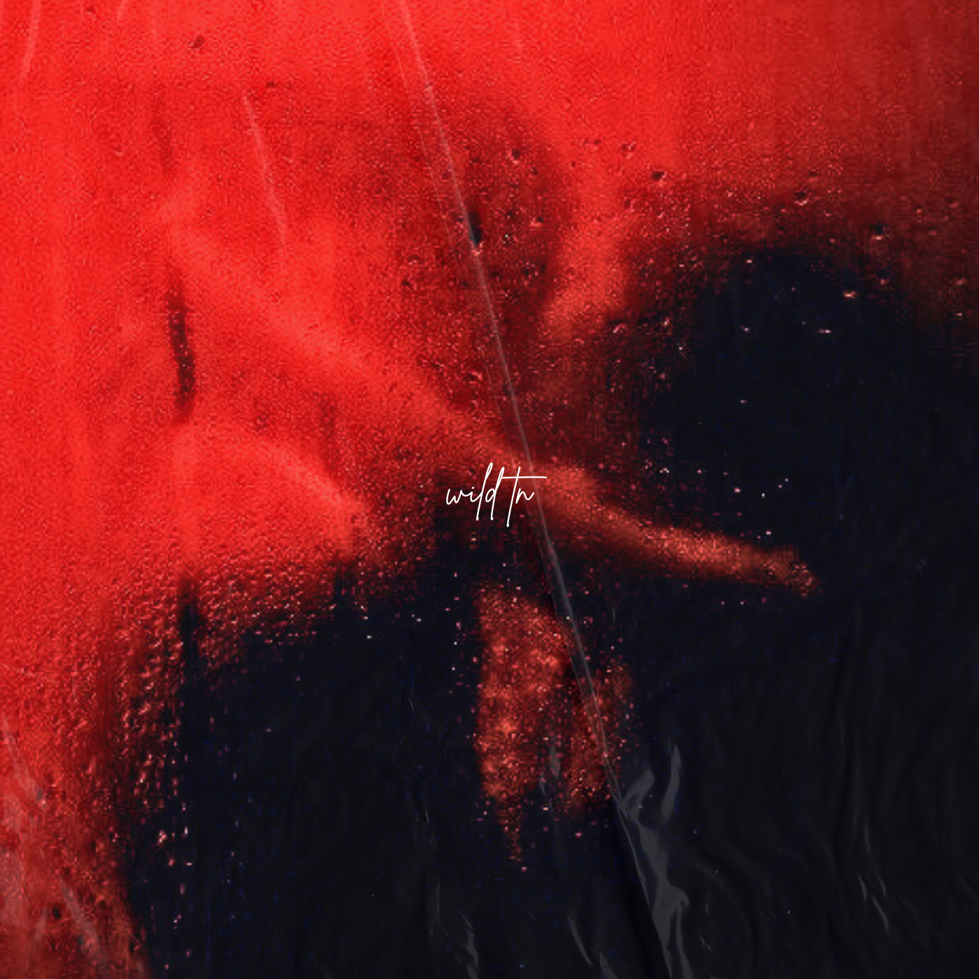 Abstract background with red and black splashes, the word 'wild'in written in white cursive in the center.