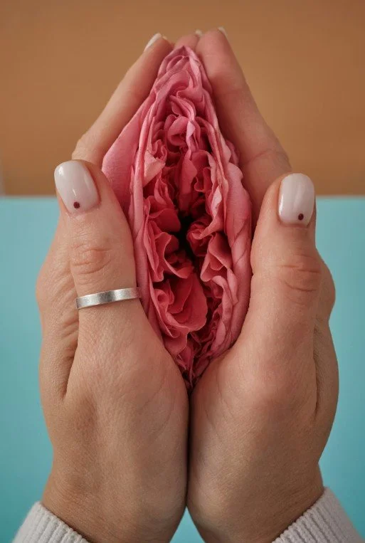 vagina pic for wabi sabi.jpg