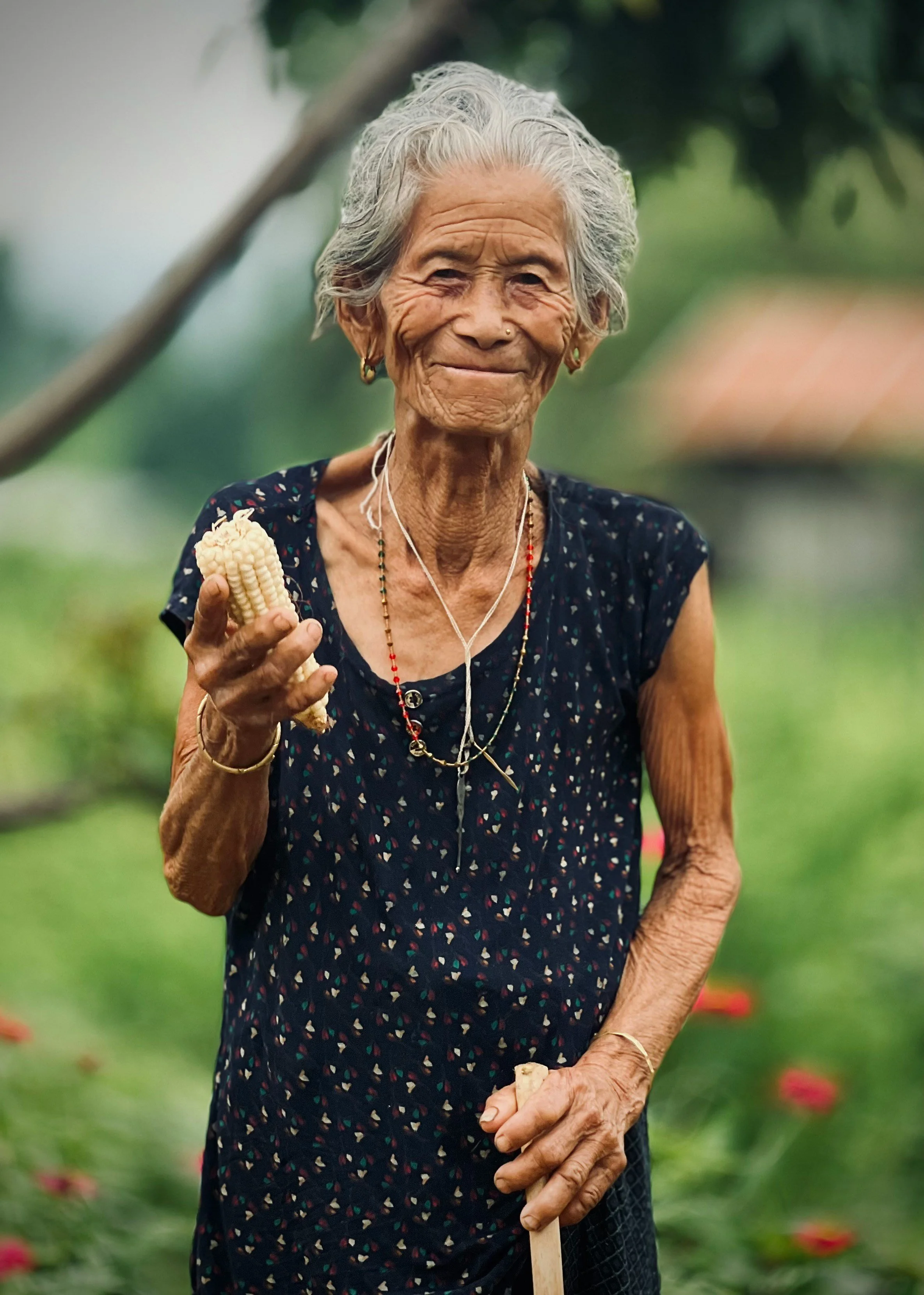 LONGEVITY Taste - A Centenarian Experience