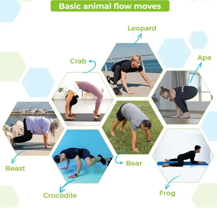 BASIC ANIMAL FLOW MOVES.jpg