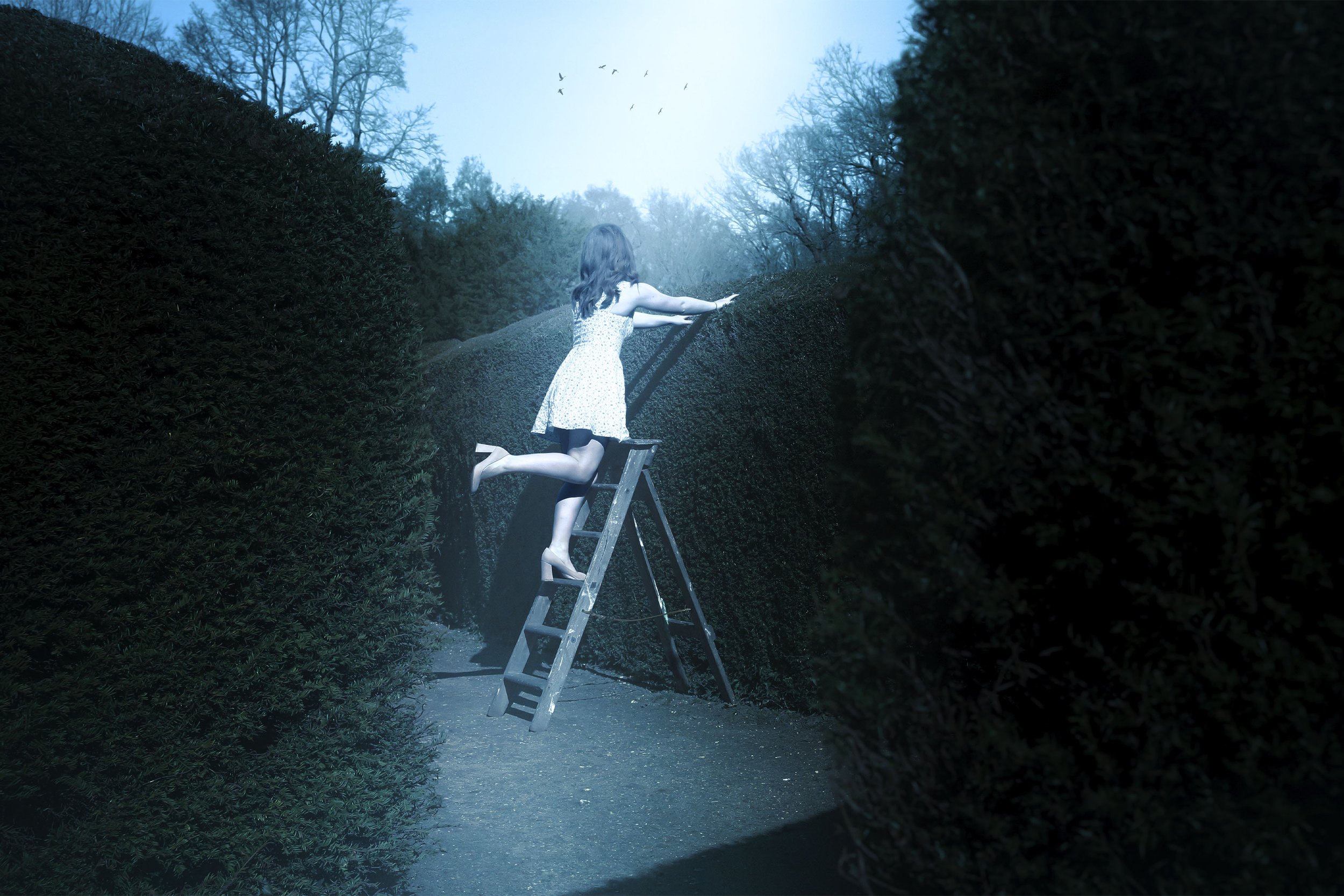 finished outcome5.jpg