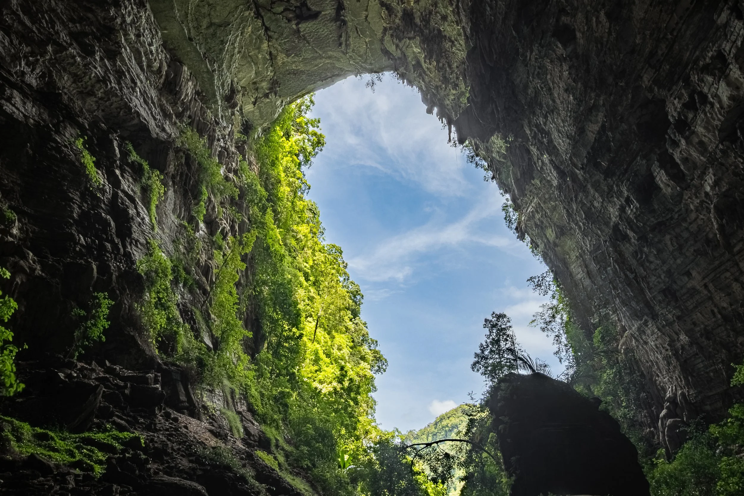 29-(D5)-Hang tiên-Green-Full.jpg
