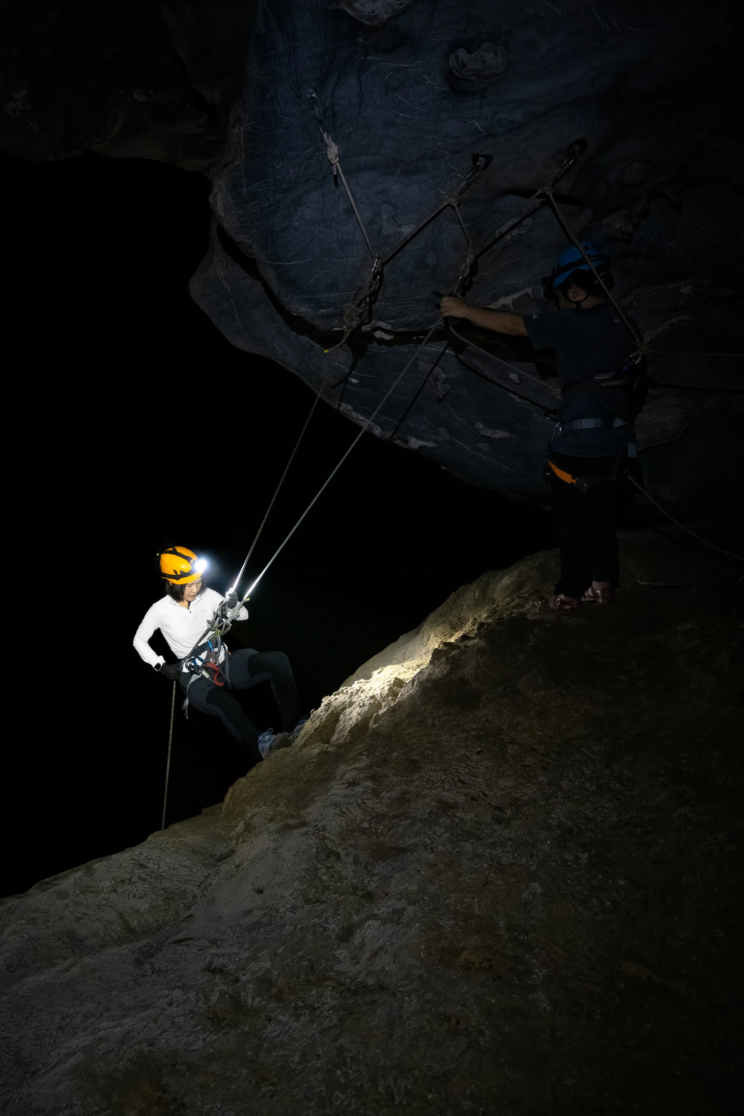 20-(D3)-Hang tú làn-Yellow-Full.jpg