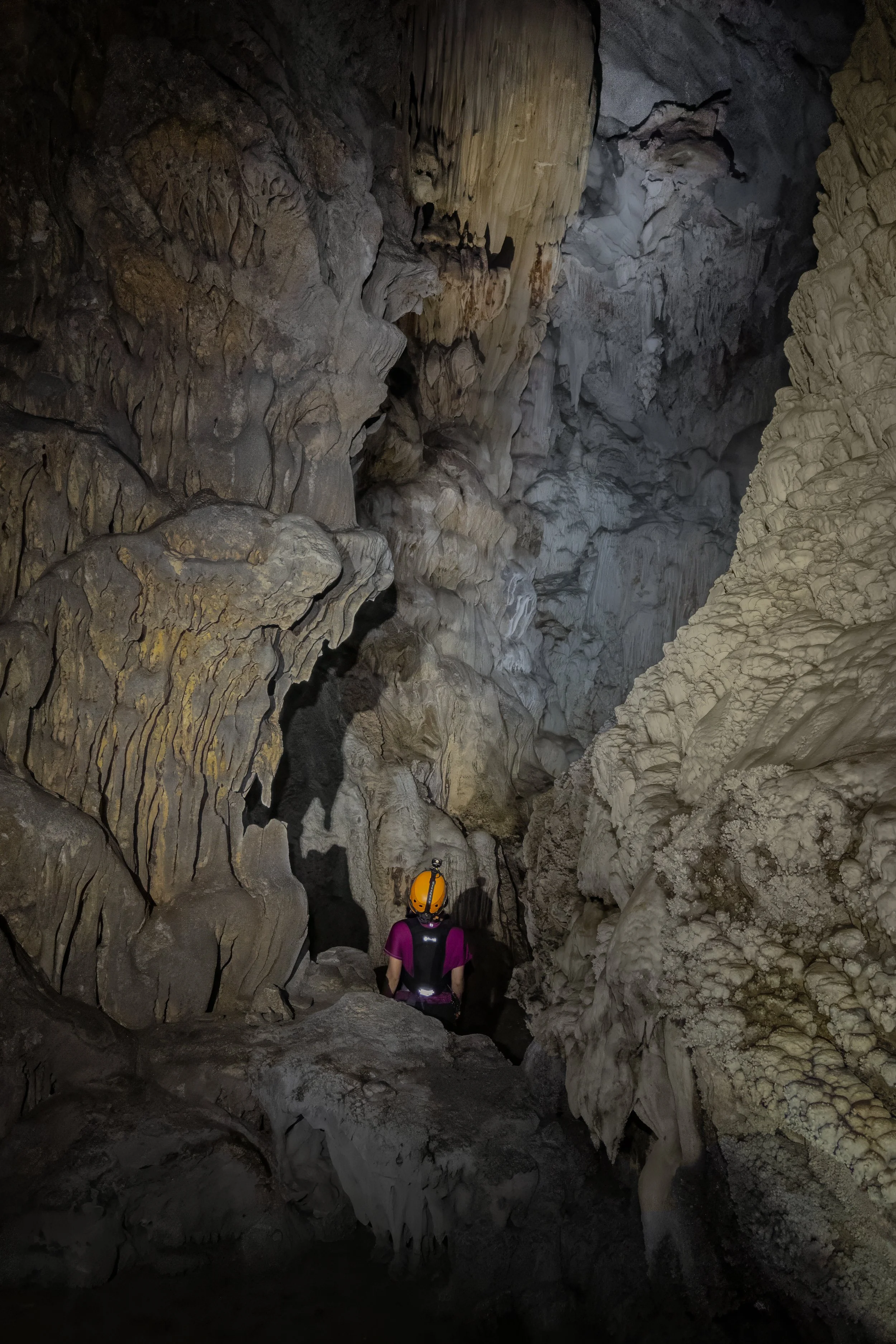 19-(D3)-Hang tú làn-Yellow-Full.jpg