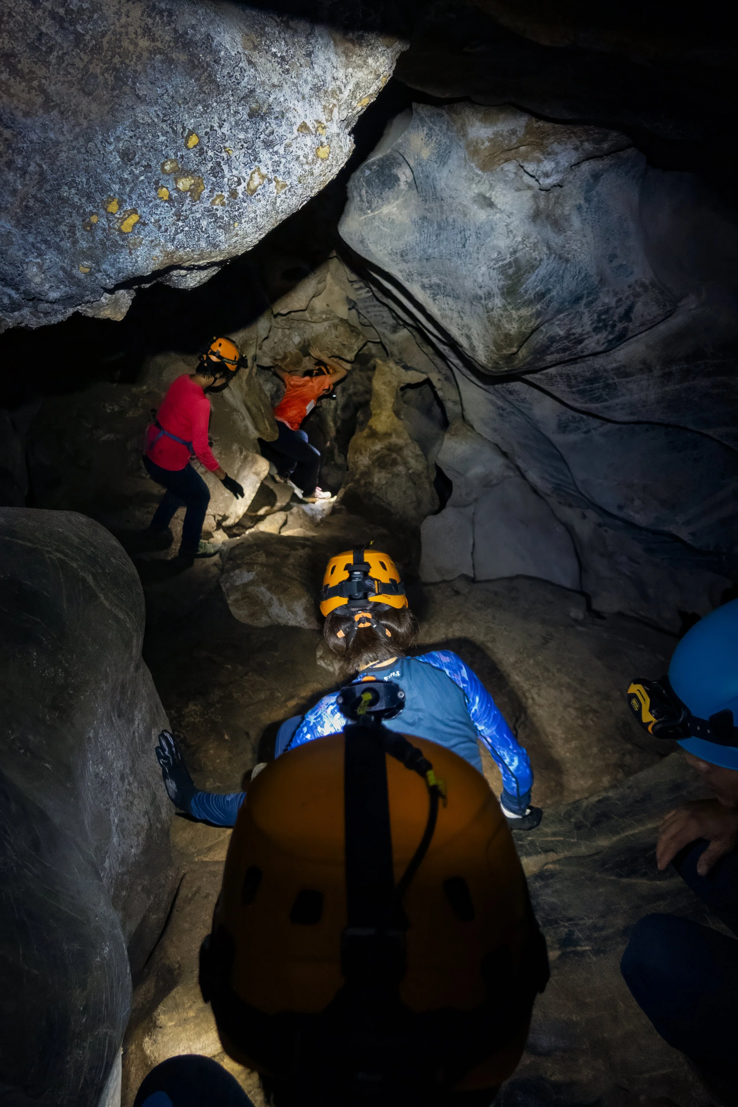 26-(D5)-Hang gió-Blue-Full.jpg
