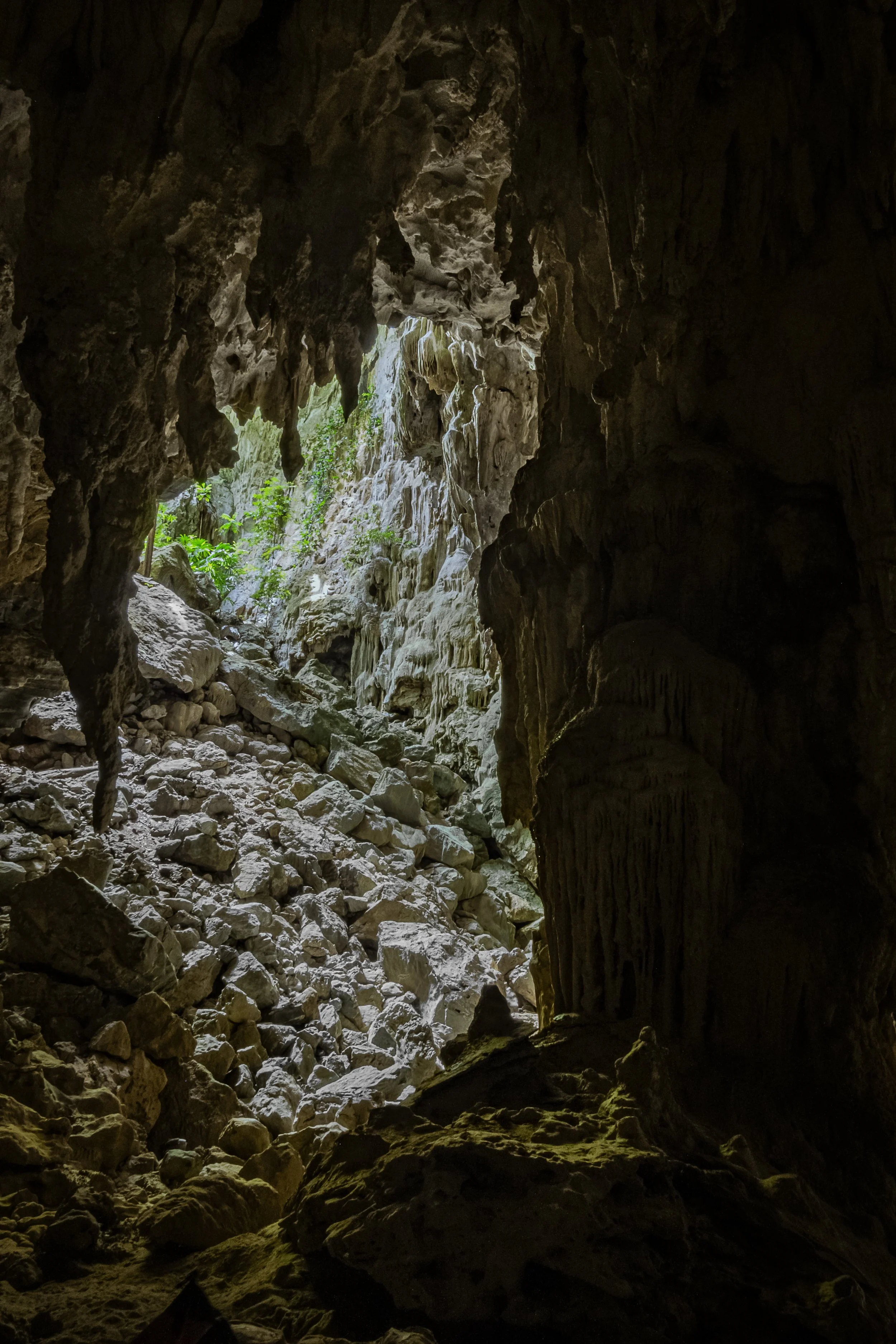 18-(D3)-Hang kim-Yellow-Full.jpg