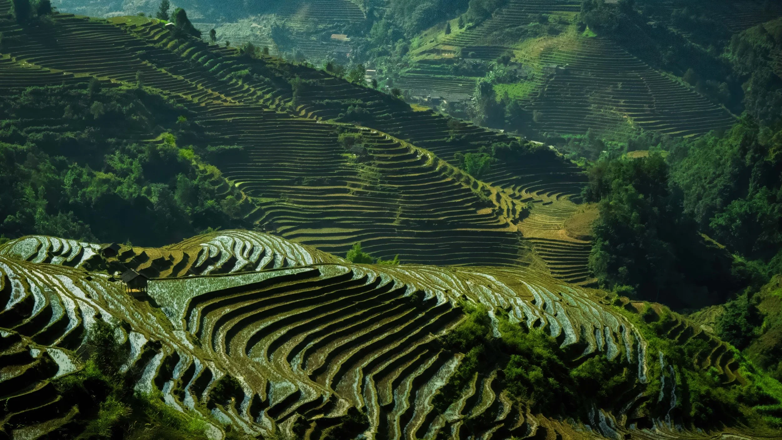 Mu cang chai_FULL_Green _003_1_1_1_1.JPG