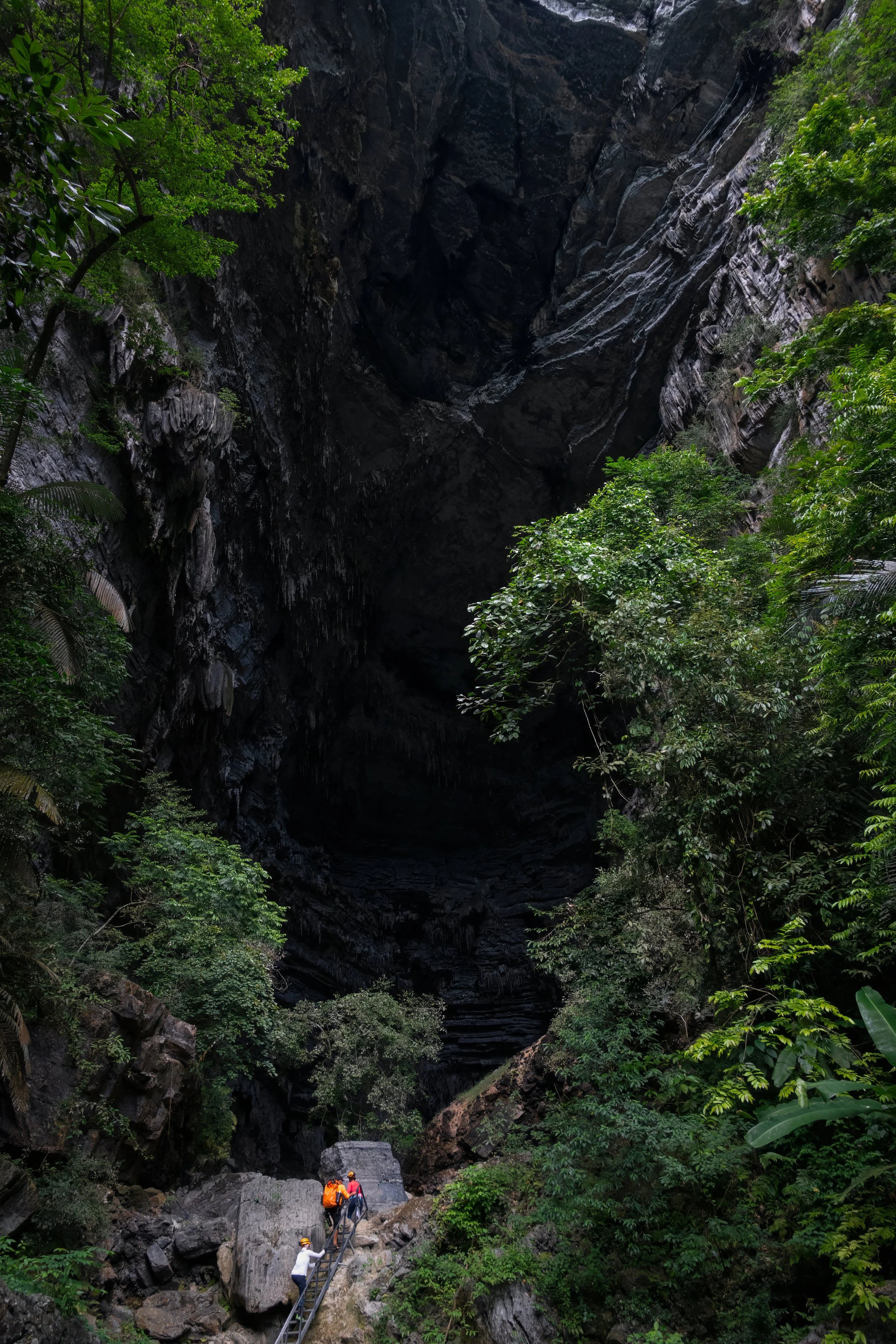 28-(D5)-Hang tiên-Green-Full.jpg