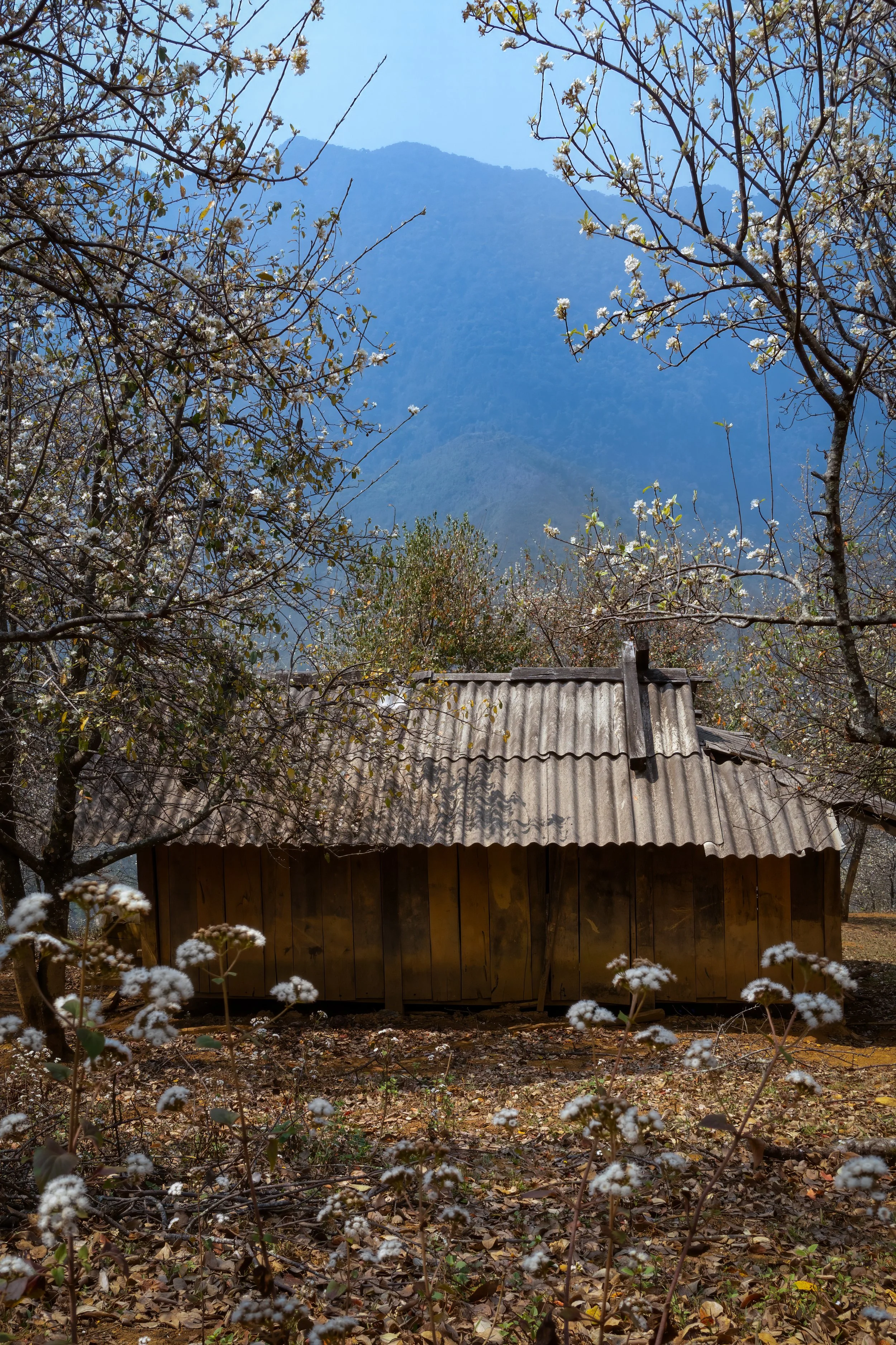 25.3.26_Ta Chi Nhu_FULL_005_BLUE.jpg