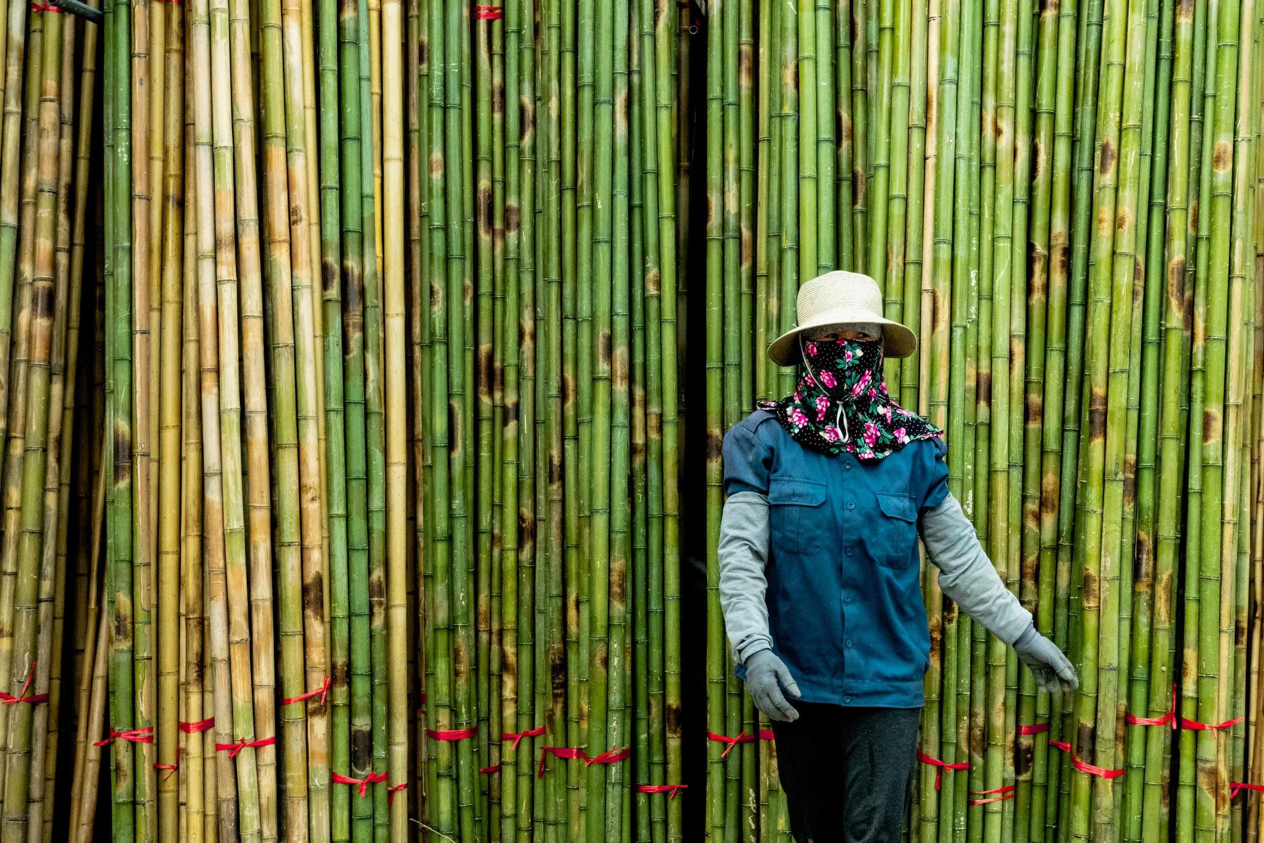 TRE TRÚC XUÂN LAI_FULL_Green_002.jpg