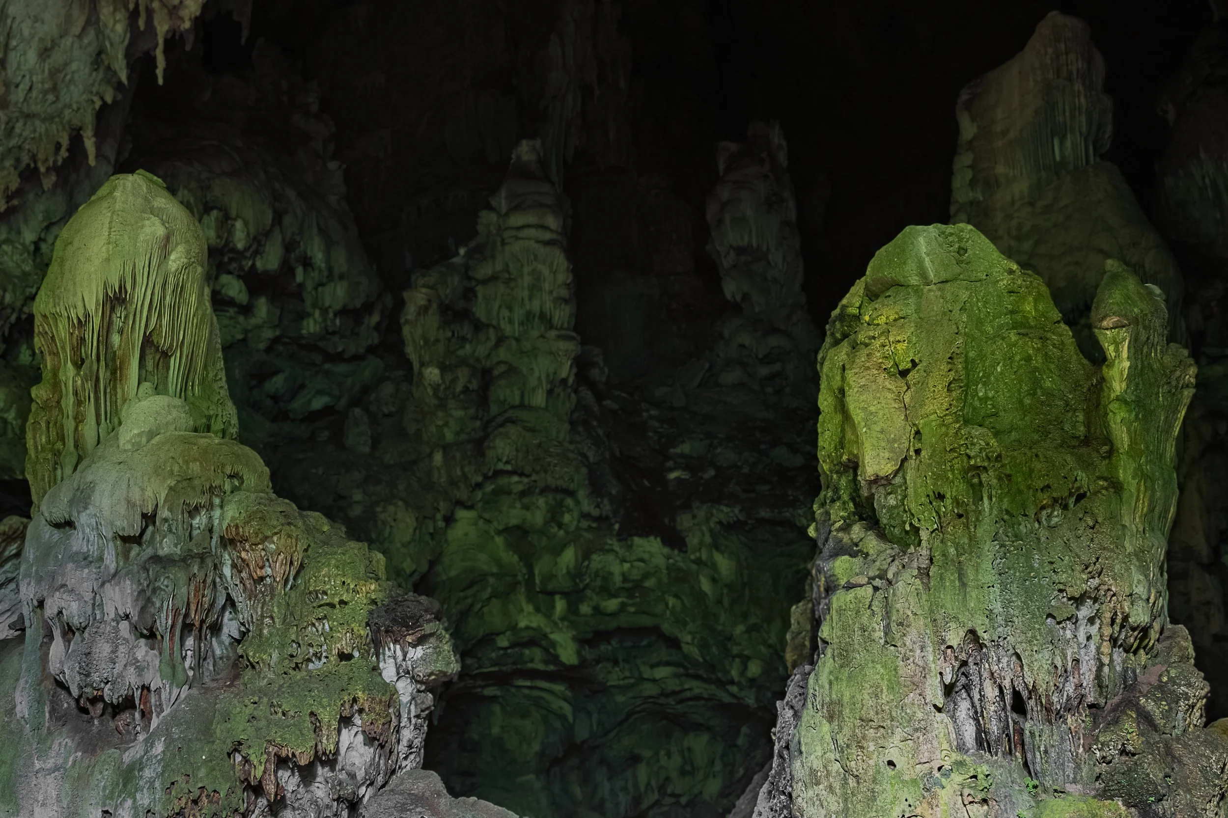 33-(D5)-Hang tiền-Green-Full.jpg